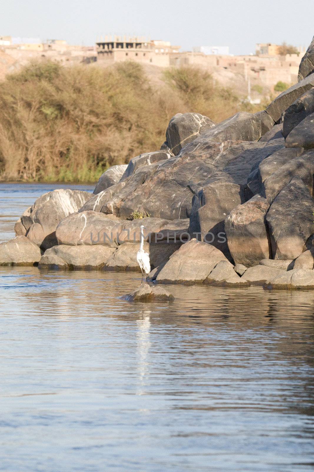 Nile River near Aswan, Egypt by MihaiDancaescu