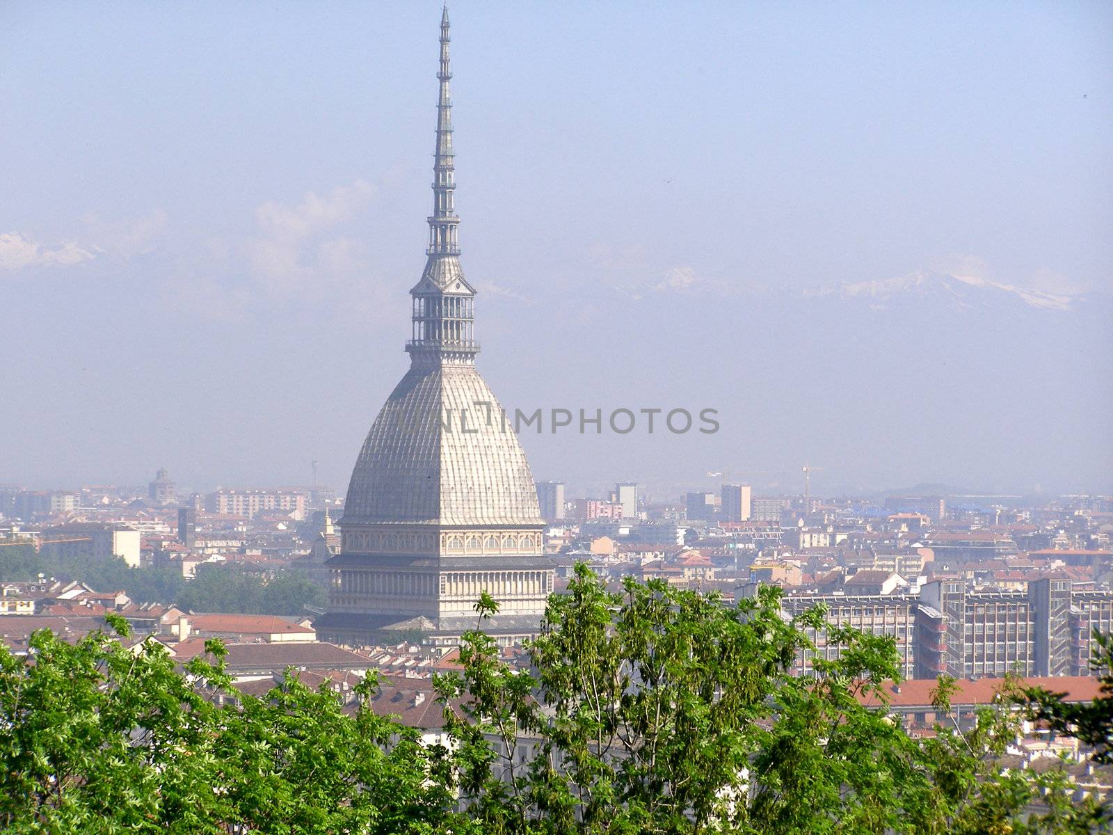 Turin panorama seen from the hill