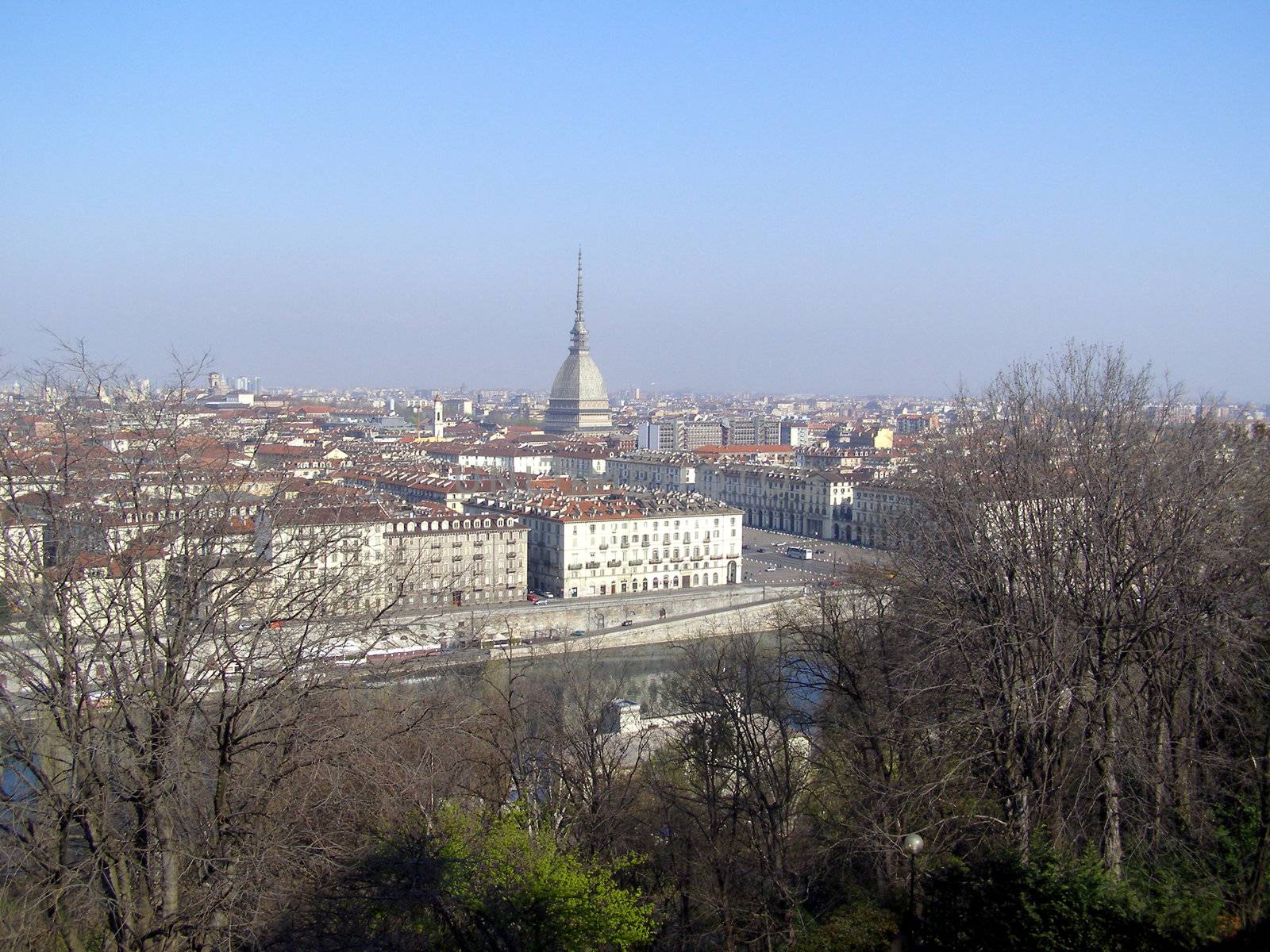 Turin panorama seen from the hill