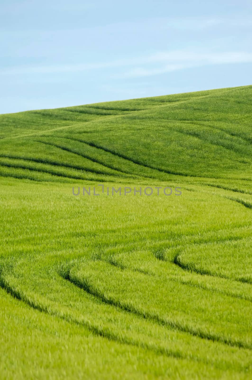 Green hill and blue sky by cfoto