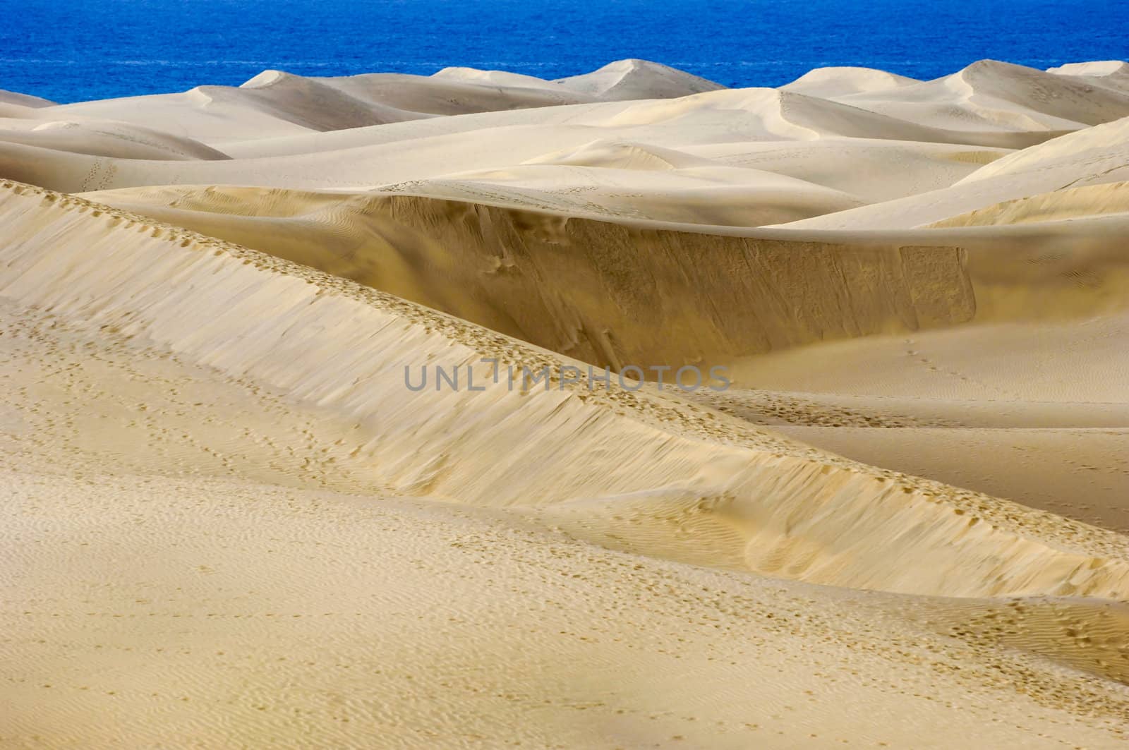 Landscape with sand duns