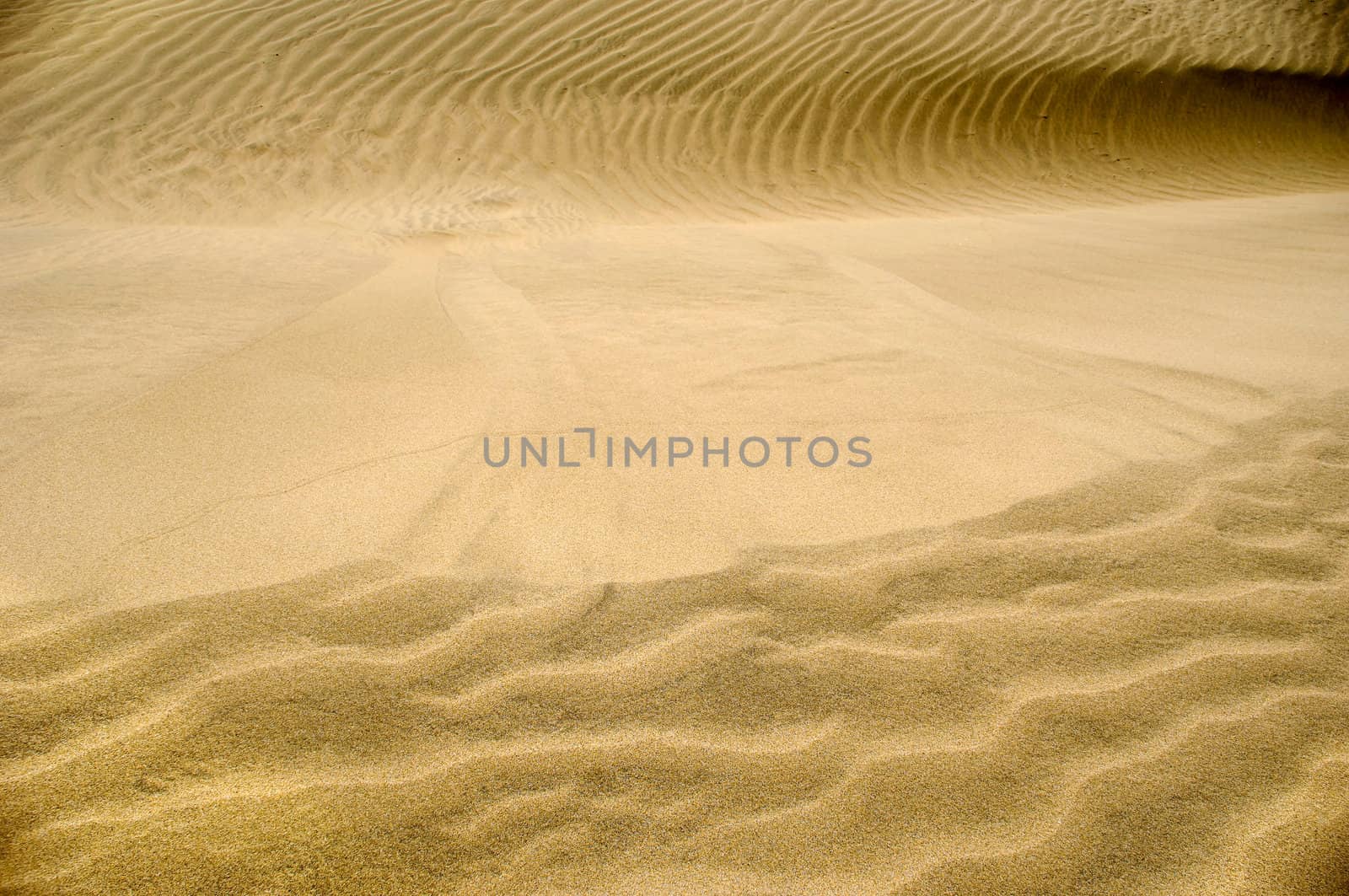 Wave pattern in the sand 