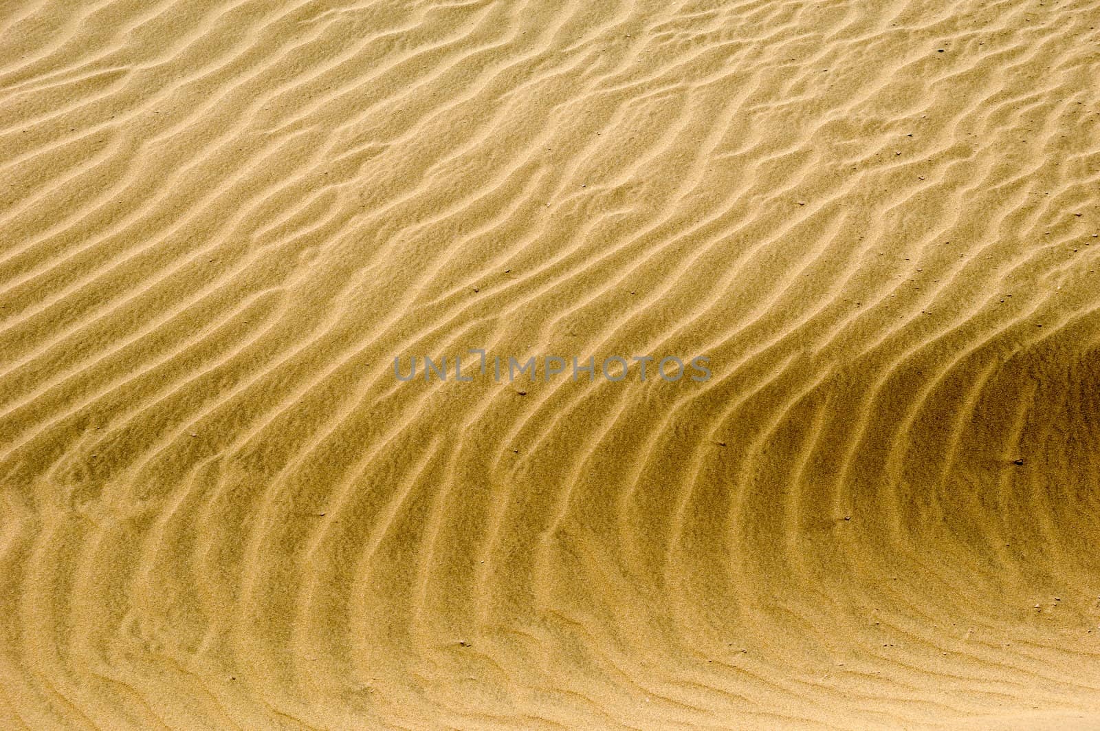 wave pattern background in the sand 