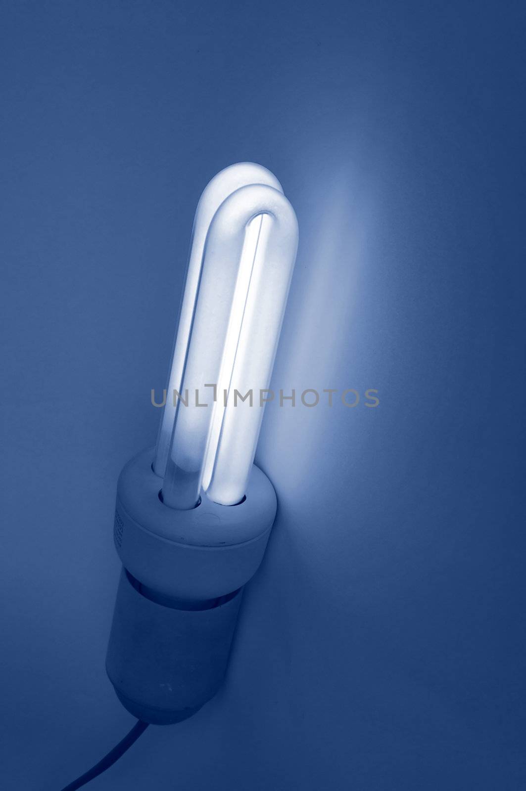 Light bulb by claudiodivizia