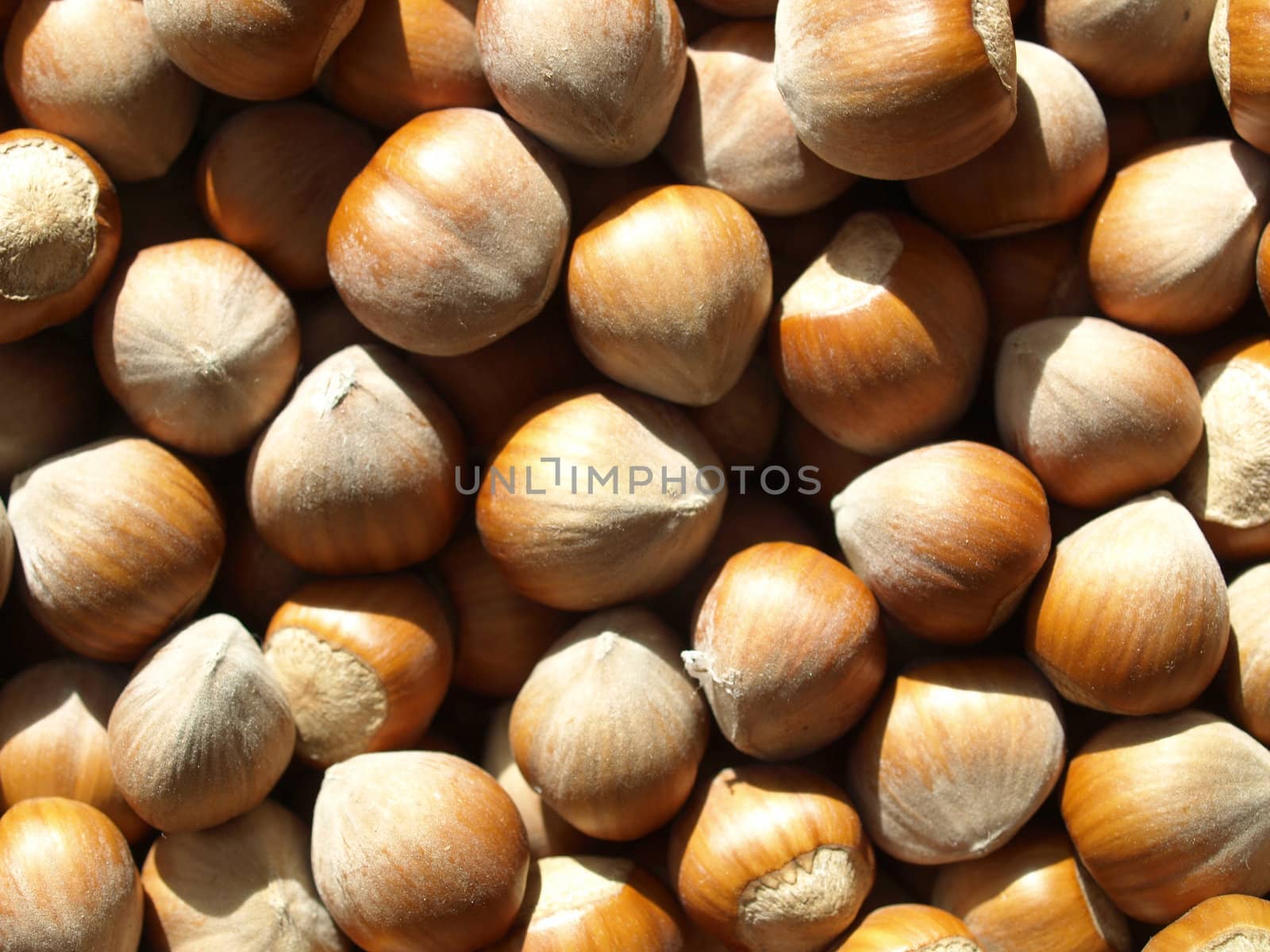 Hazelnuts dried fruits food background