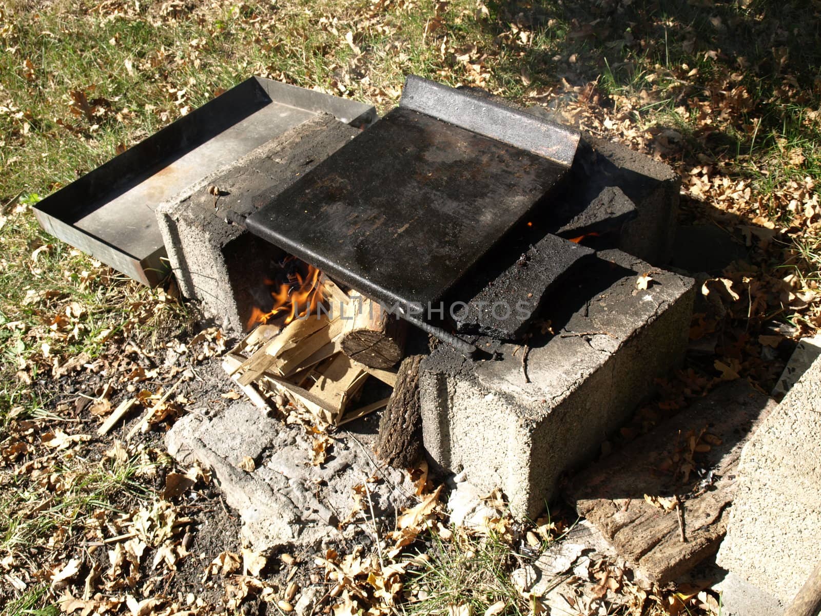 Barbecue or BBQ at picnic