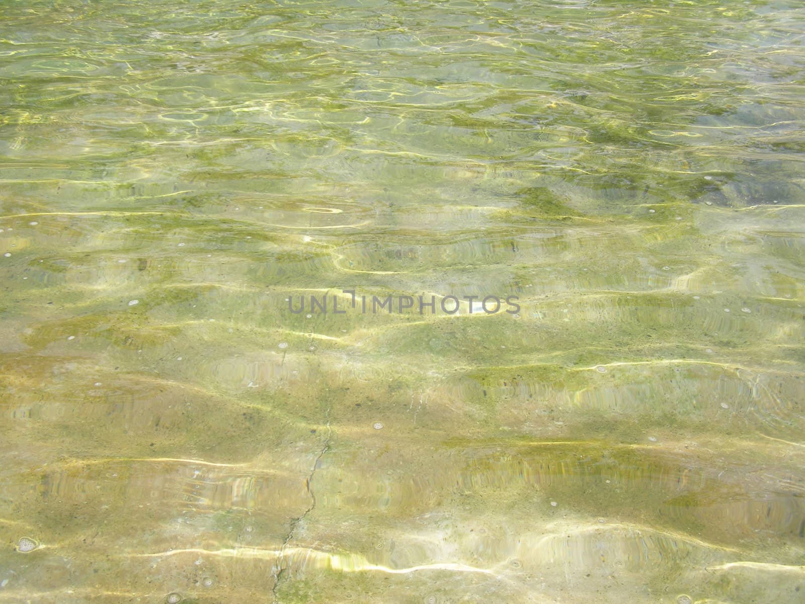 Water background