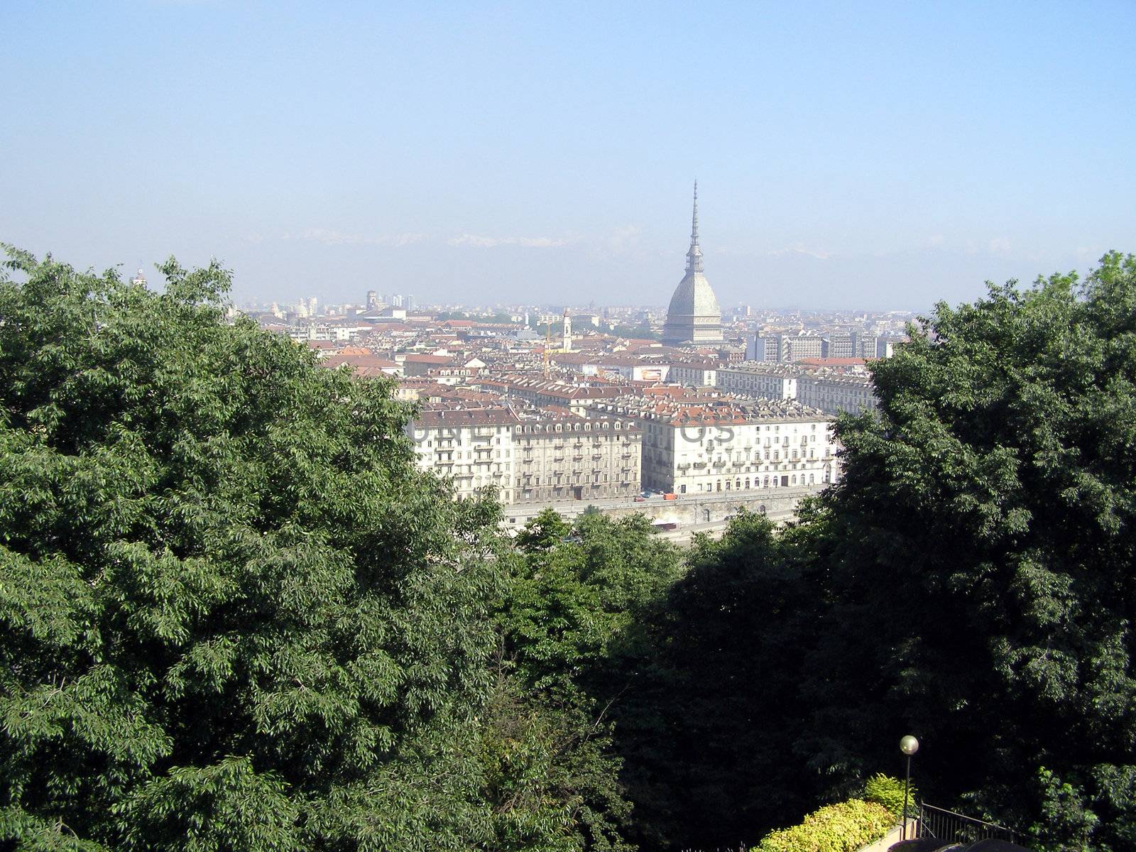 Turin panorama seen from the hill