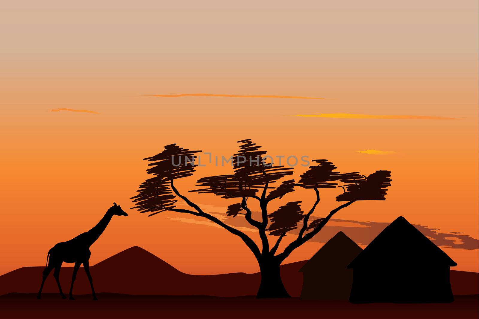 Giraffe near small african village at sunset