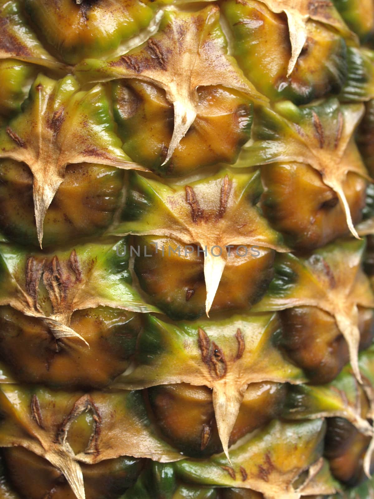 Close up pineapple ananas background