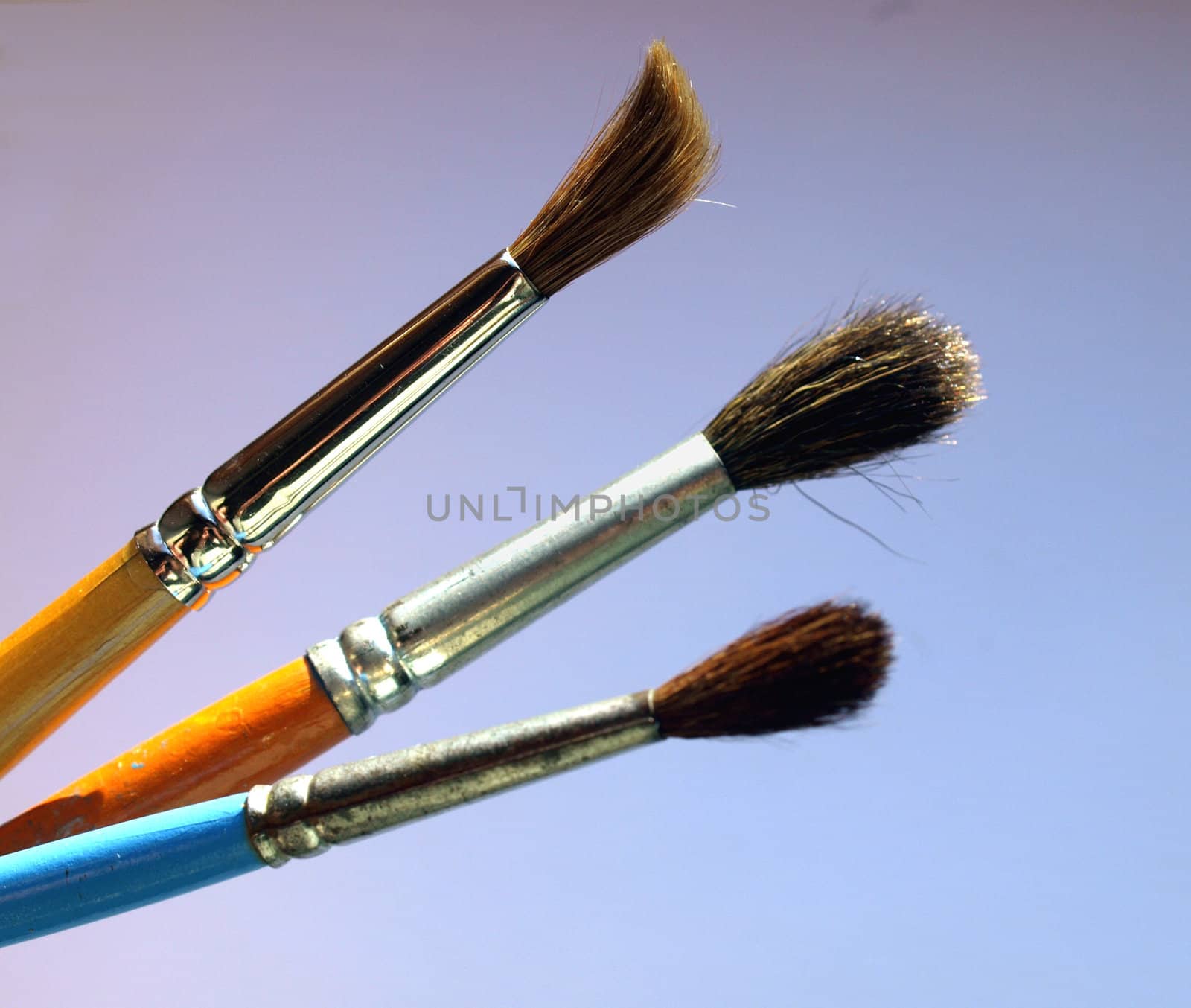 Paintbrushes tools for oil or tempera or watercolor painting