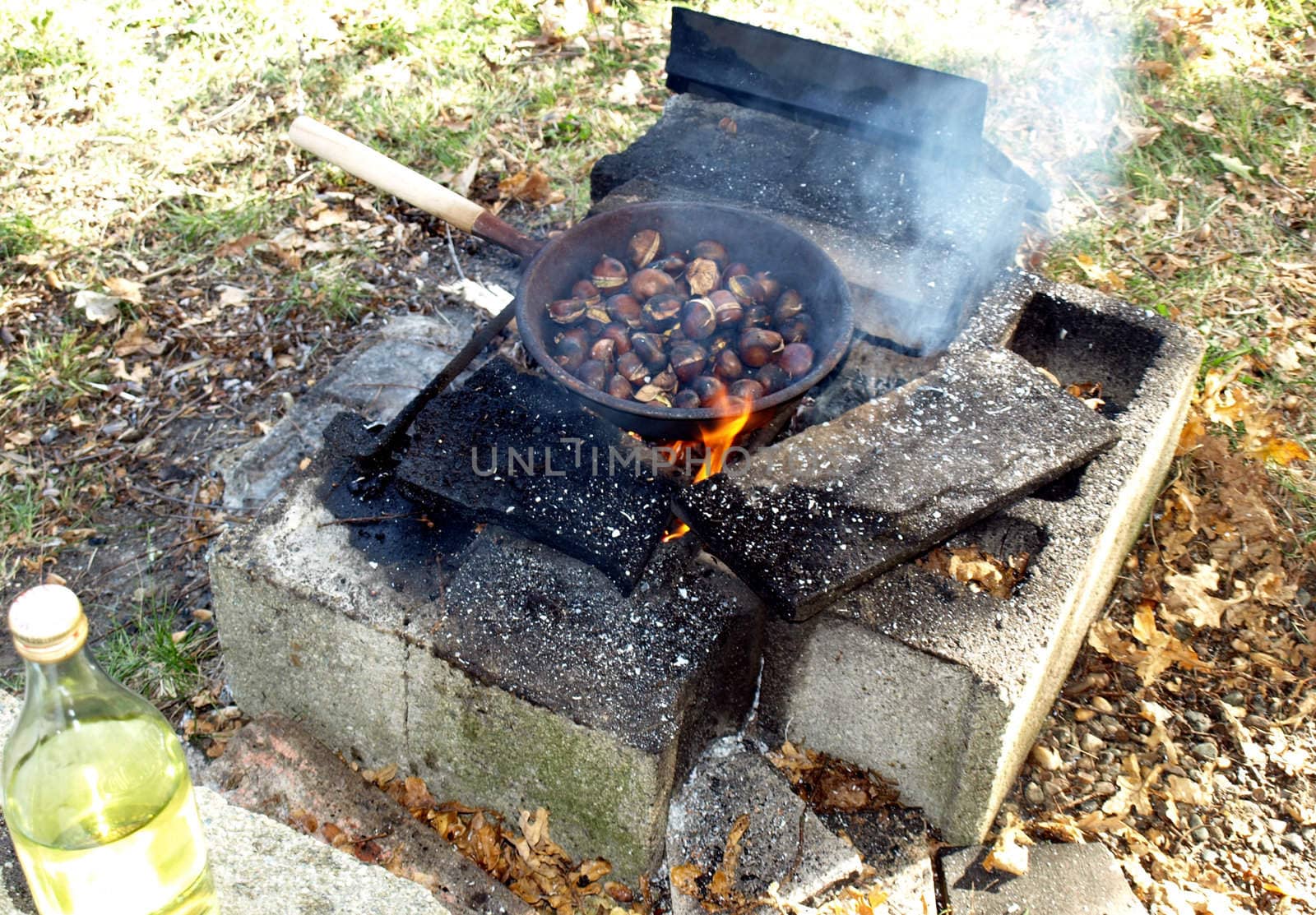 Barbecue or BBQ at picnic