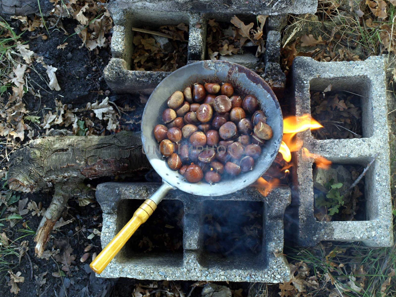 Barbecue or BBQ at picnic