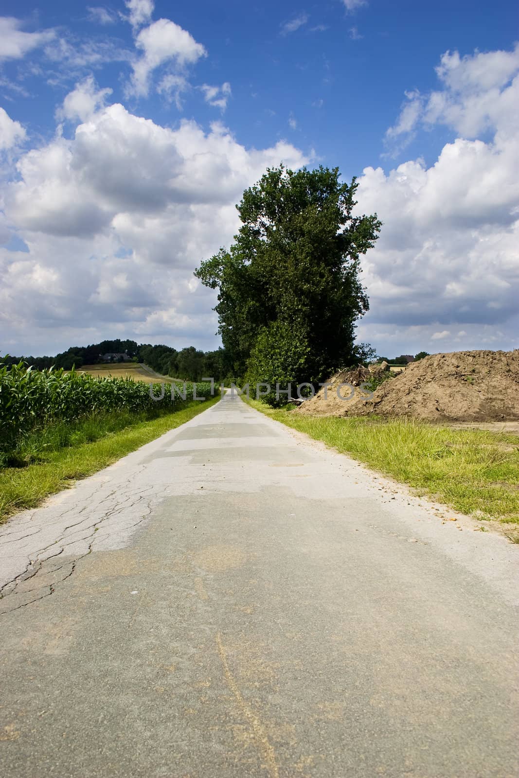 Narrow rural road and blue sky with white clouds