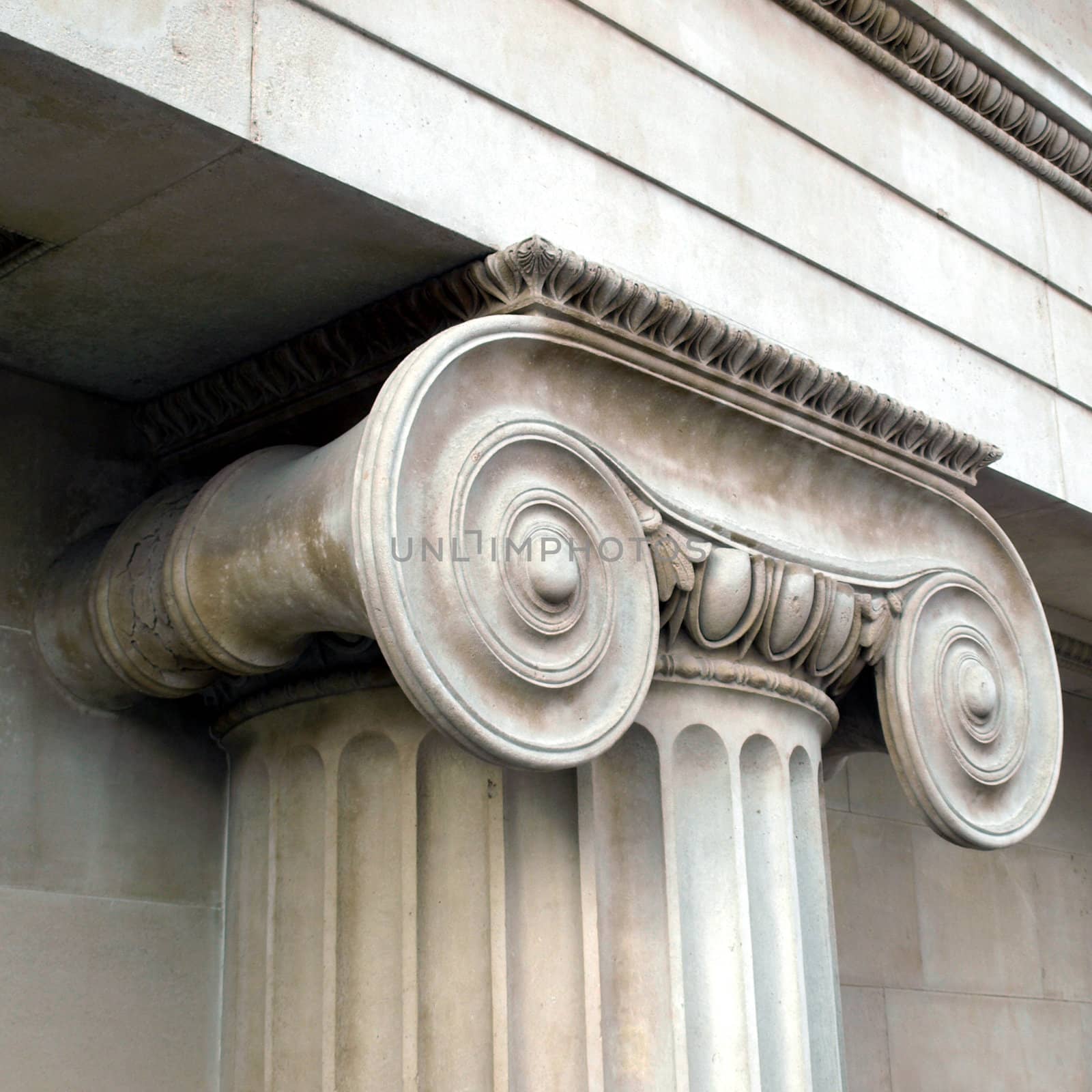 Detail of a Greek Ionic column capital