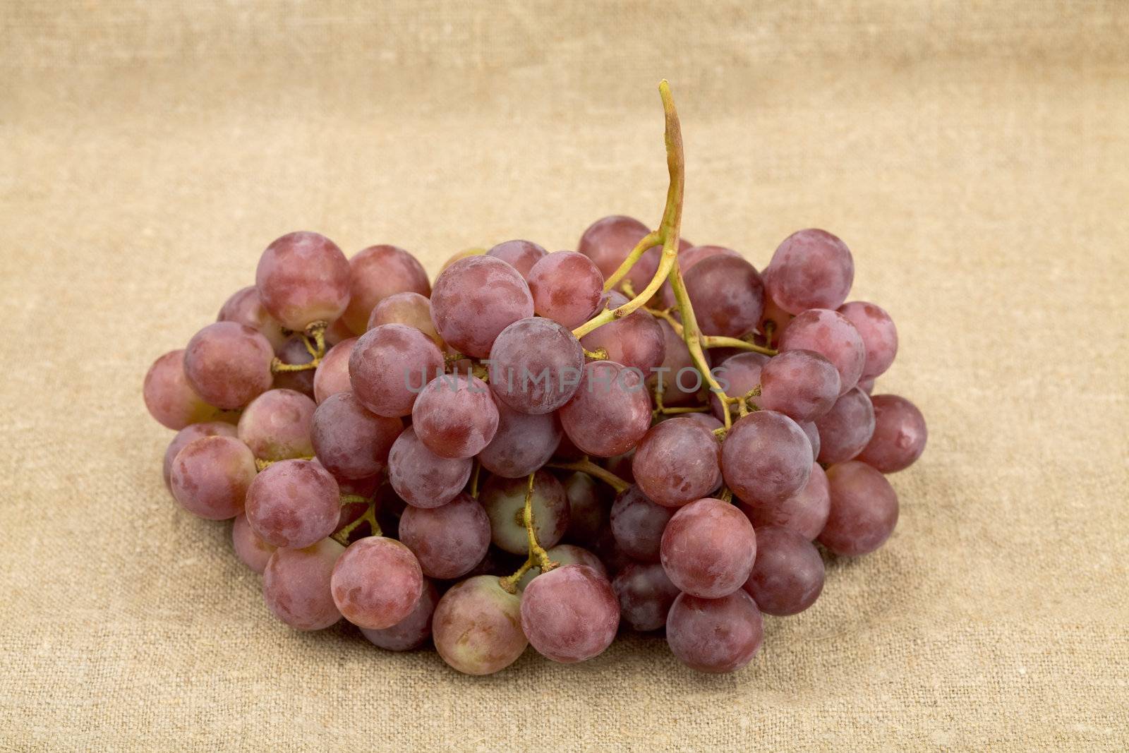 Bunch of grapes on the sacking background