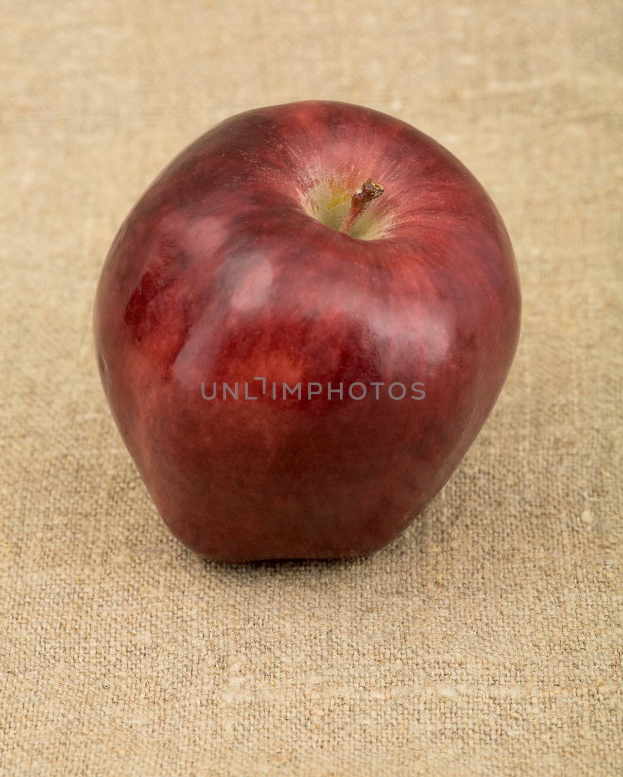 Red apple on the brown sacking background