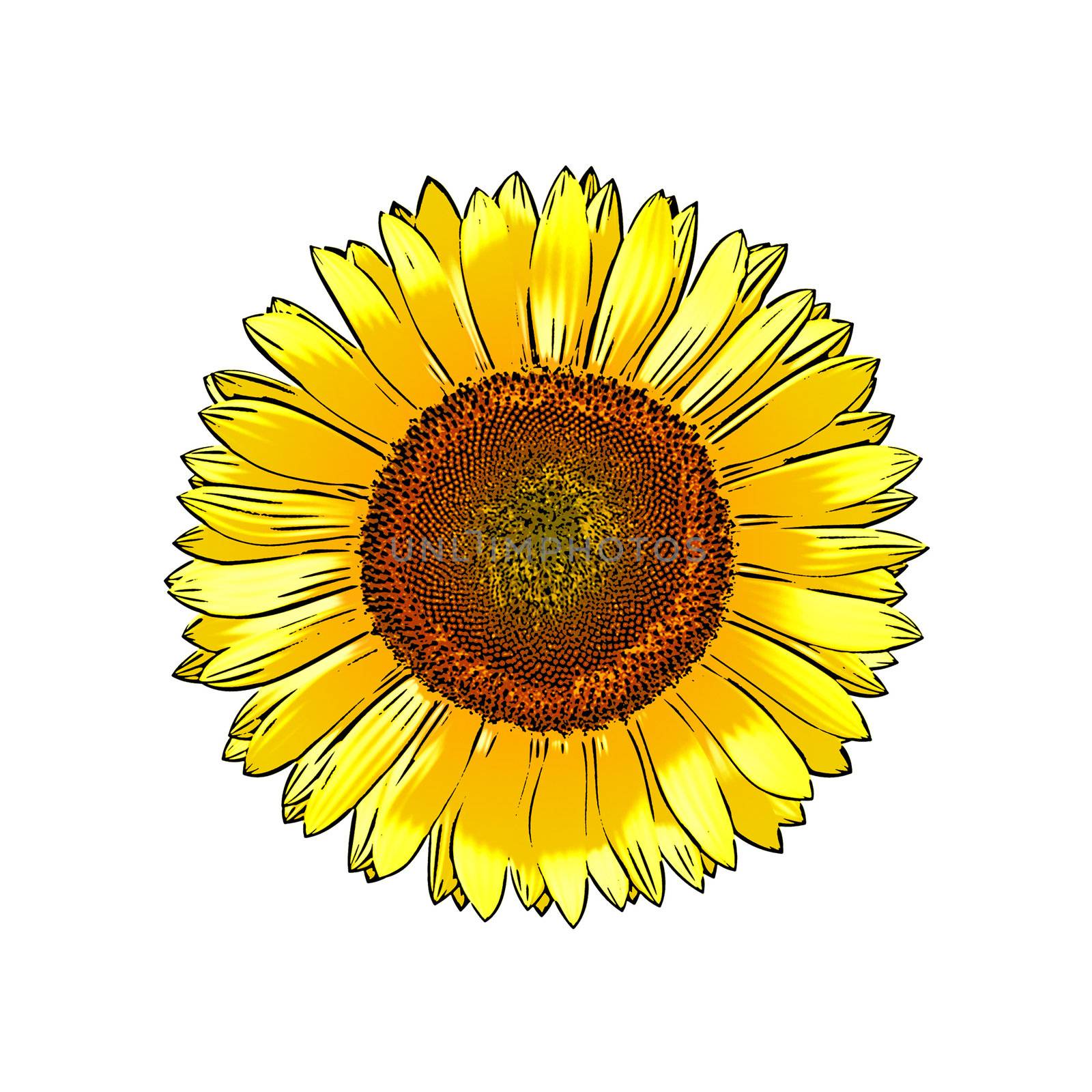An image of a beautiful painted comic sunflower