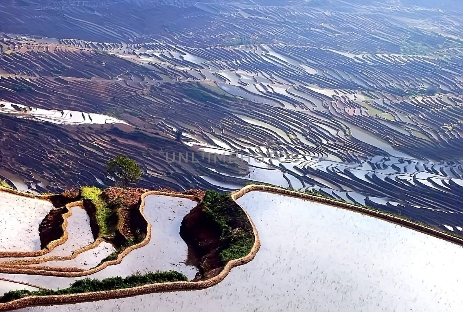 Filming in Yunnan Ailaoshan, China