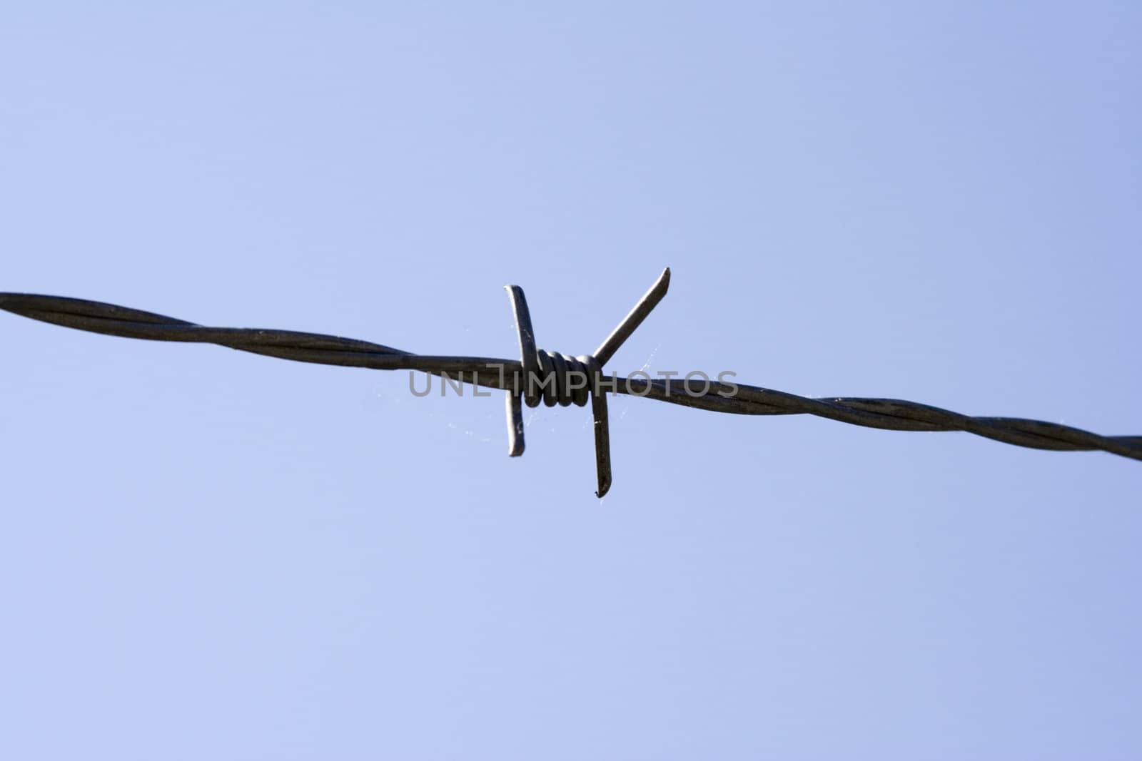 close up of barb wire fence on a blue sky background