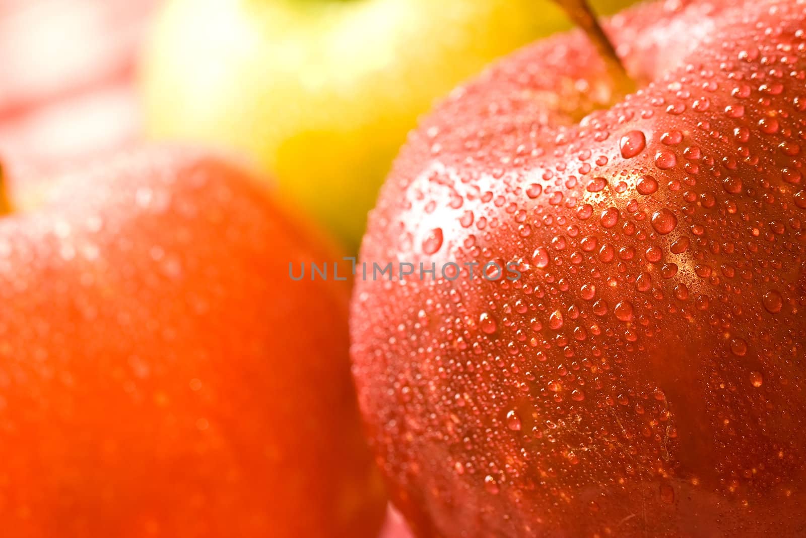 macro shot of fresh ripe apples washed with water