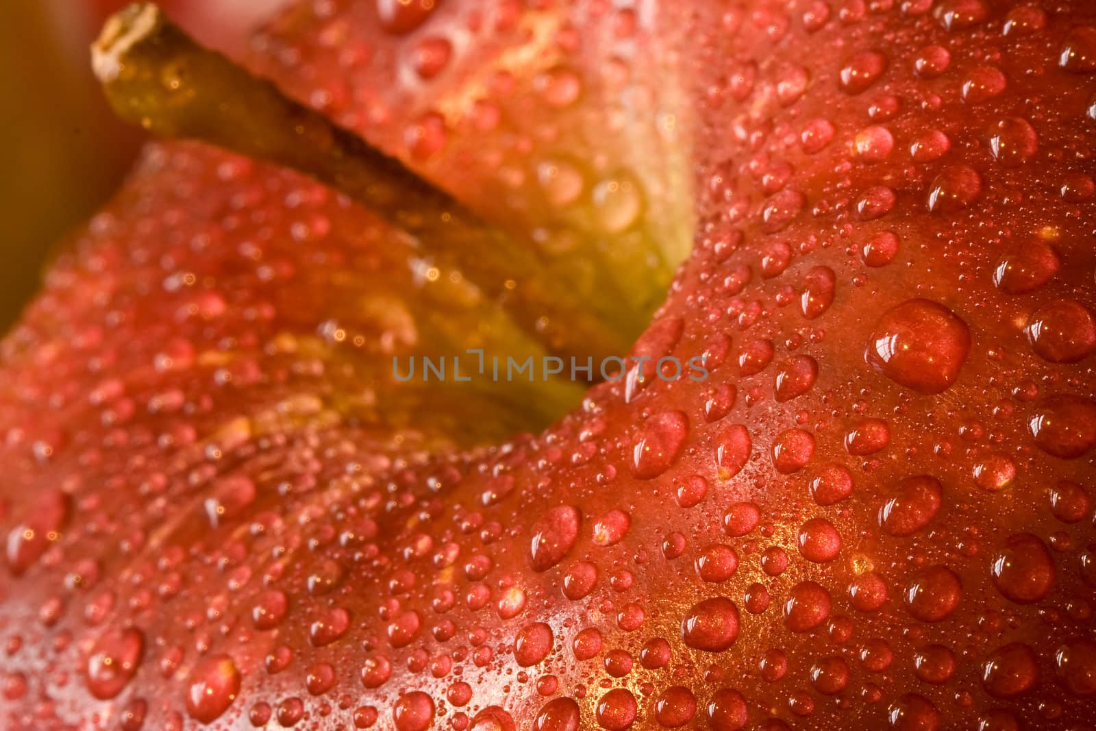 macro shot of fresh ripe apples washed with water