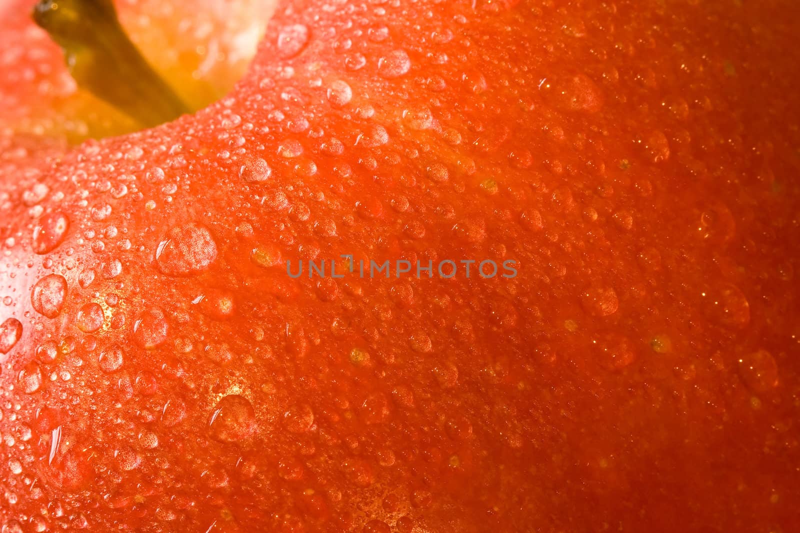 macro shot of fresh ripe apples washed with water