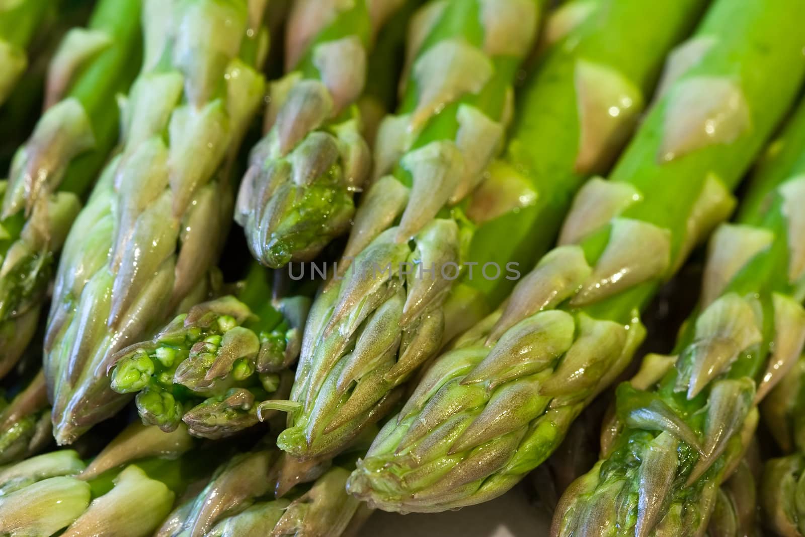 freshly washed still dripping with water close up of asparagus