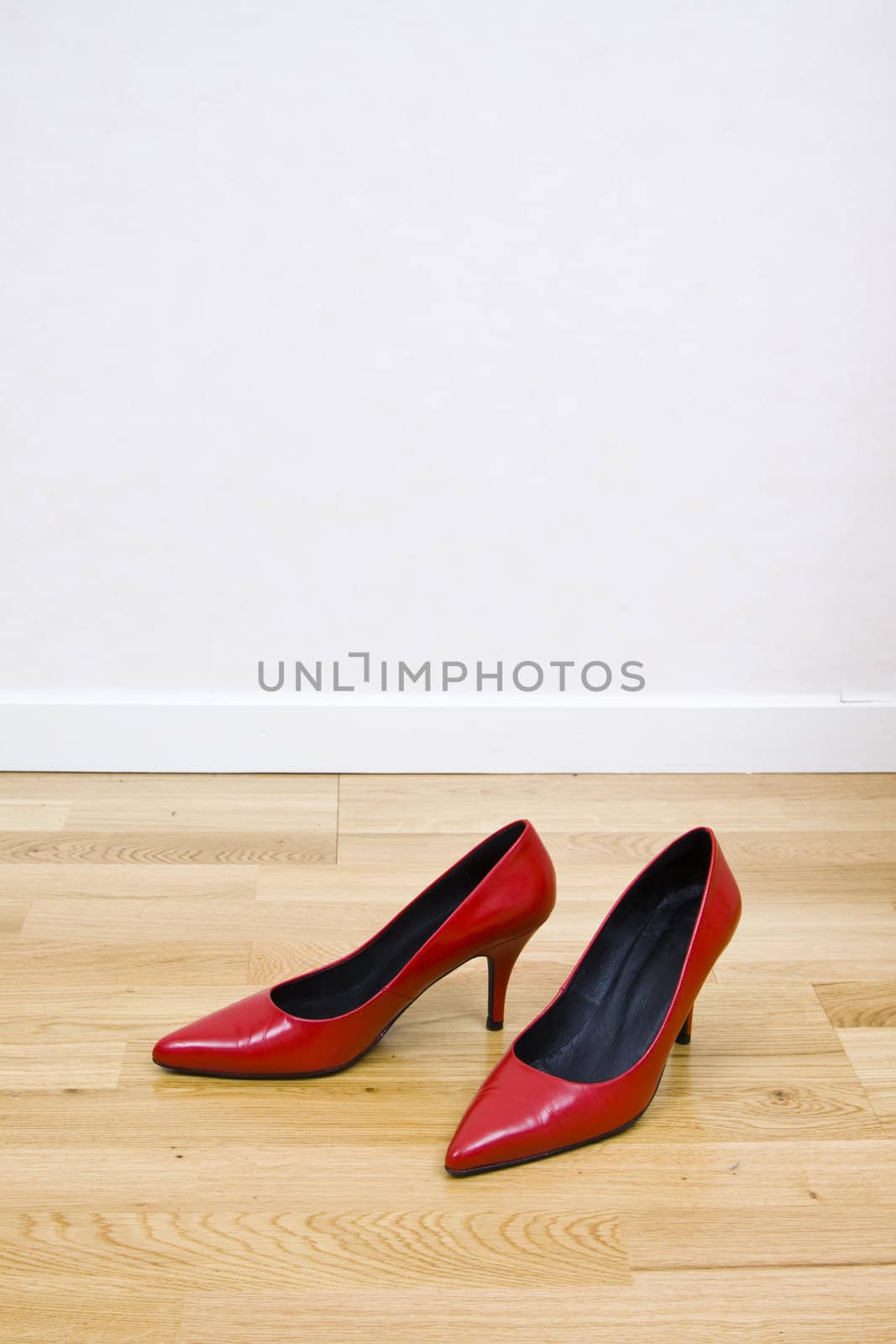 fashionable female shoes on wooden floor