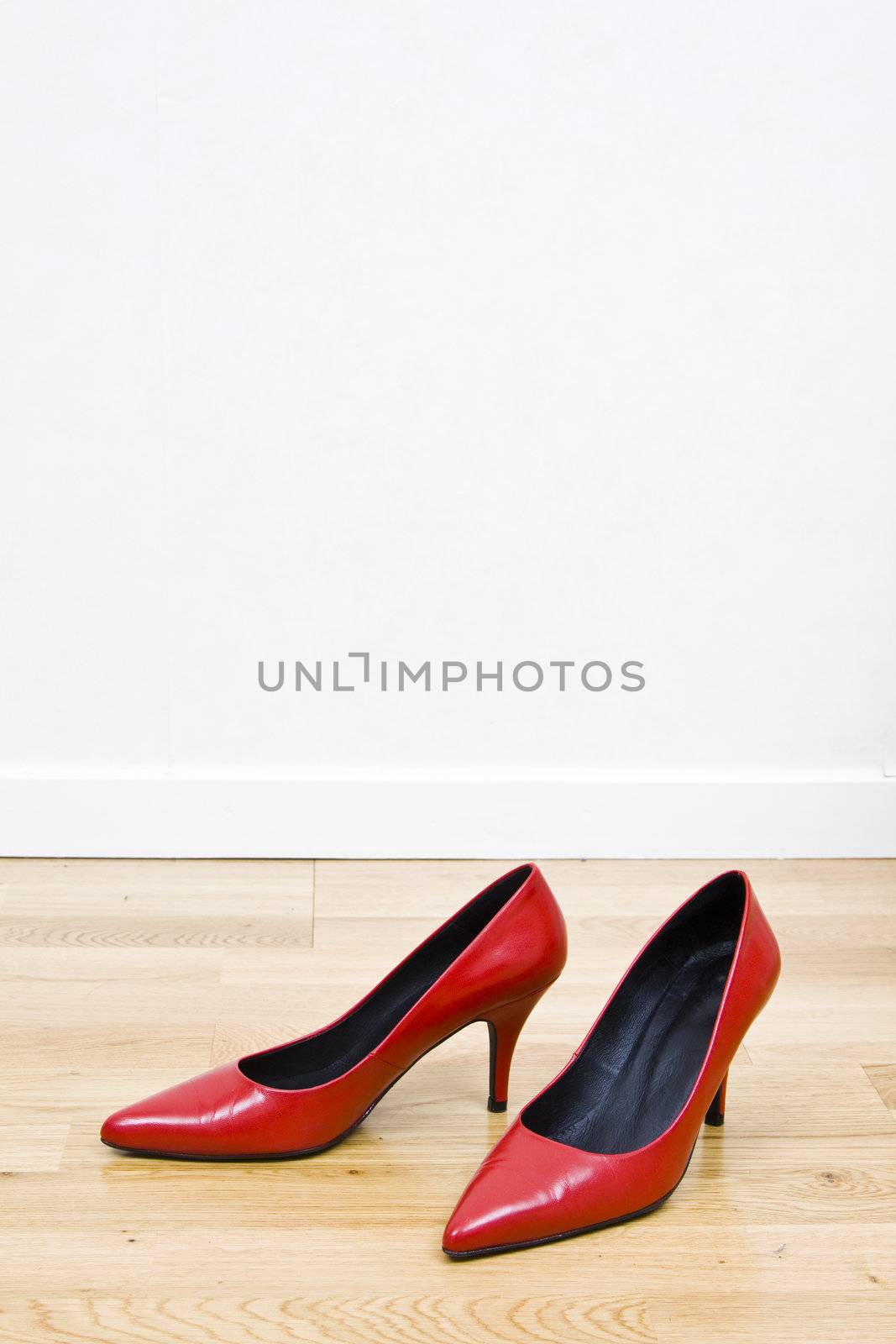fashionable female shoes on wooden floor