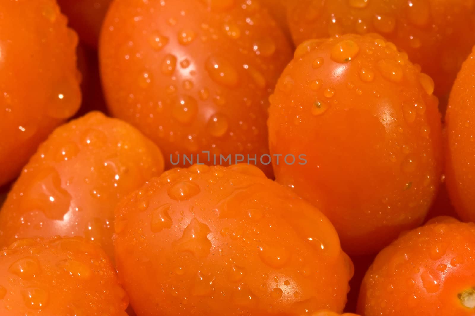 macro shot of a bunch of cherry tomatoes with water droplets on them