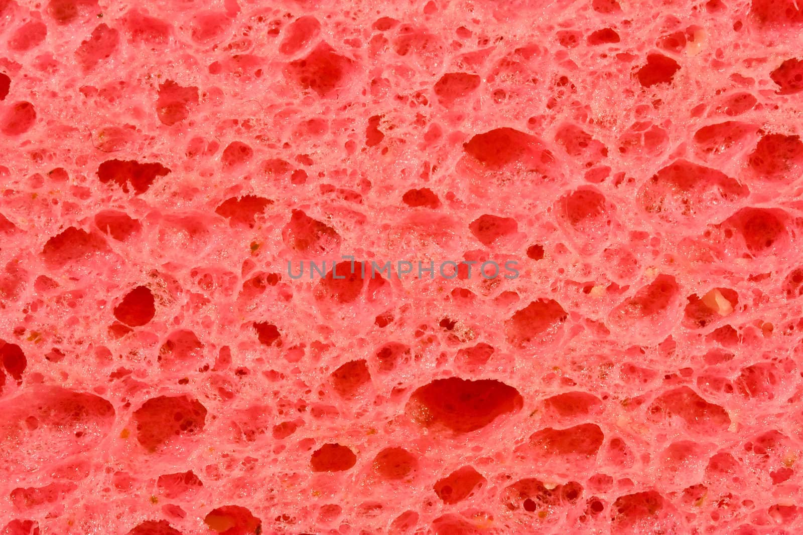 macro shot of a sponge great detail