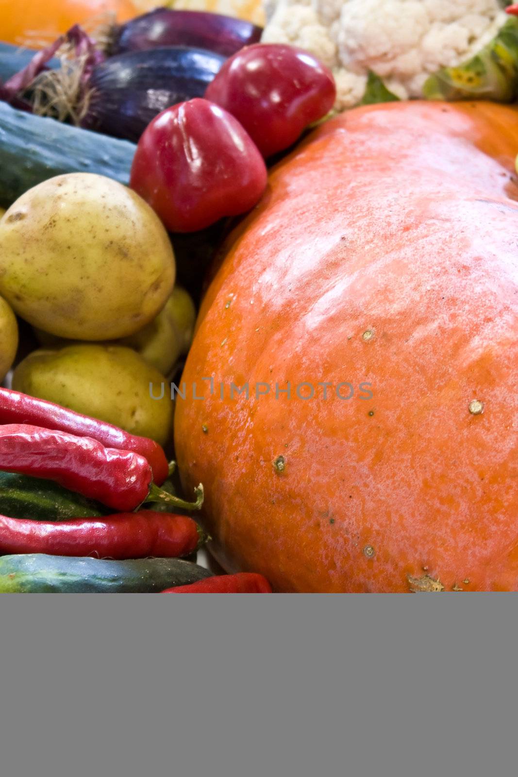 Wheelbarrow full of fall vegetables bright colors