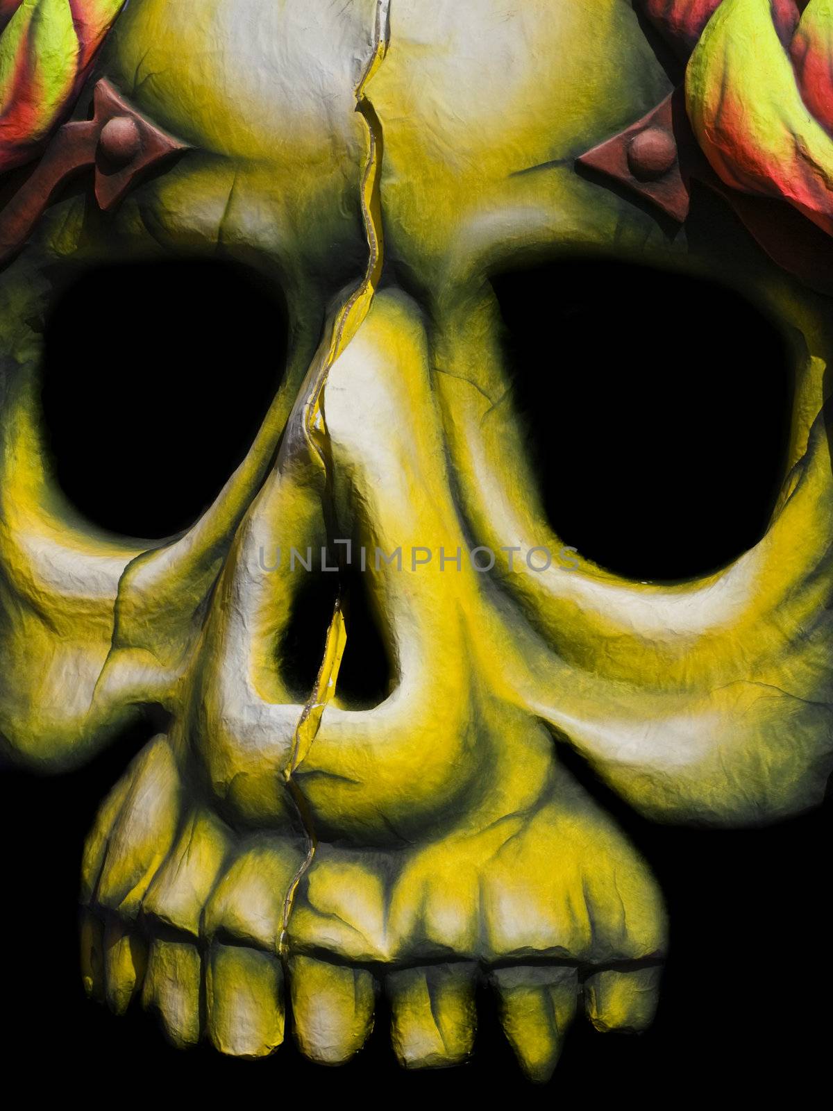 Portrait of a scary skull    