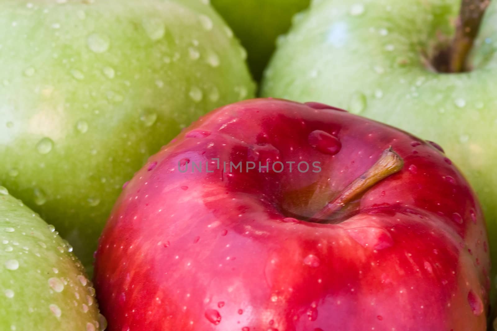 one red apple mixed in with a bunch of green apples