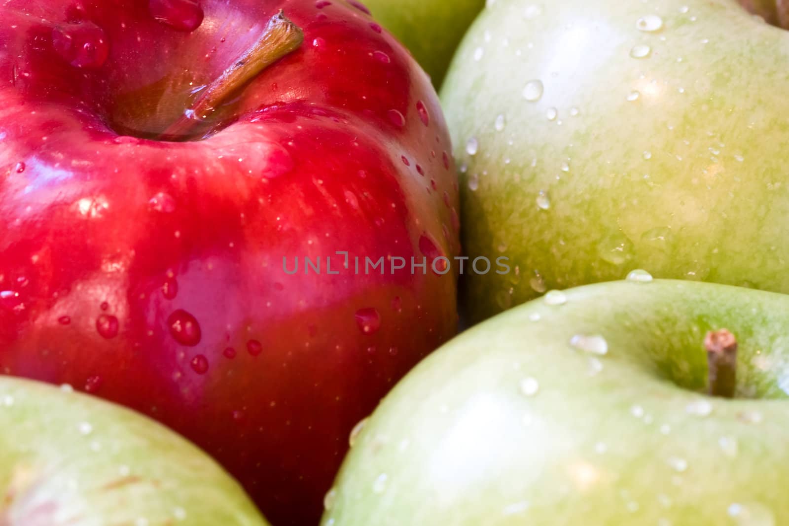 one red apple mixed in with a bunch of green apples