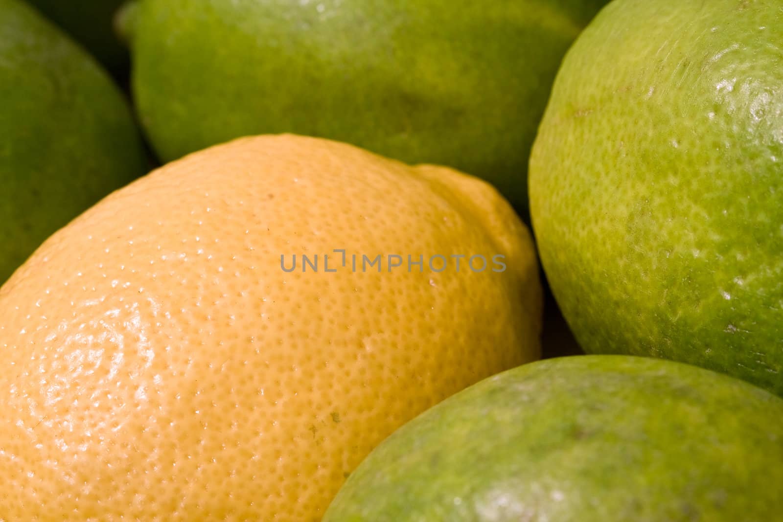 lemon lime orange fruit set close up and water drops in the set