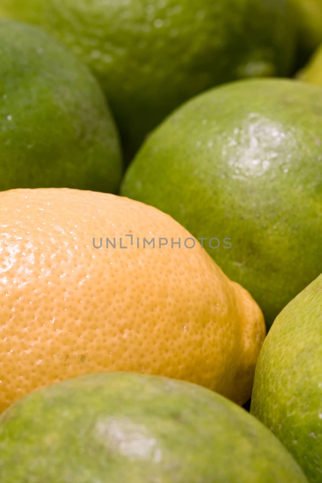 lemon lime orange fruit set close up and water drops in the set