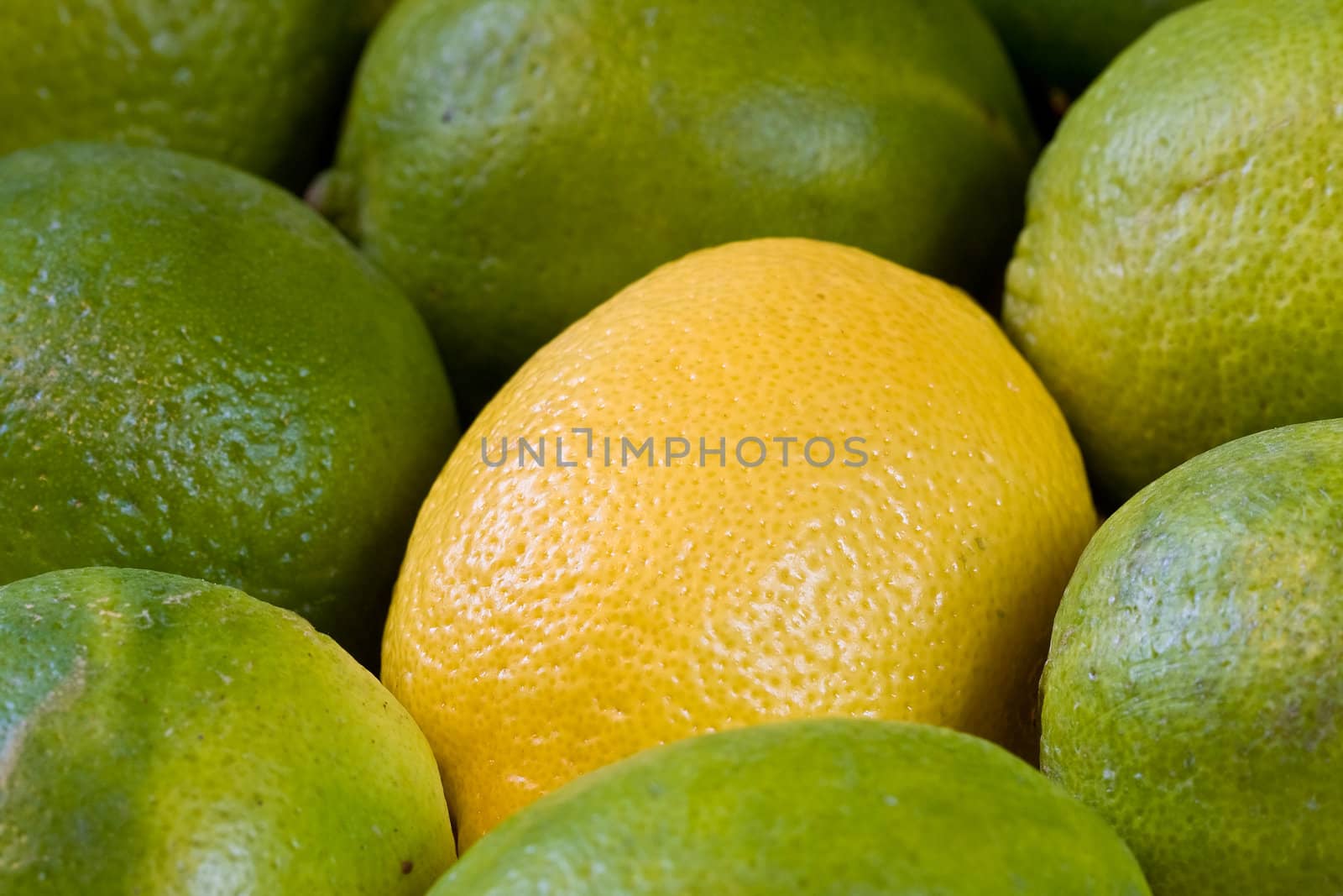 lemon lime orange fruit set close up and water drops in the set