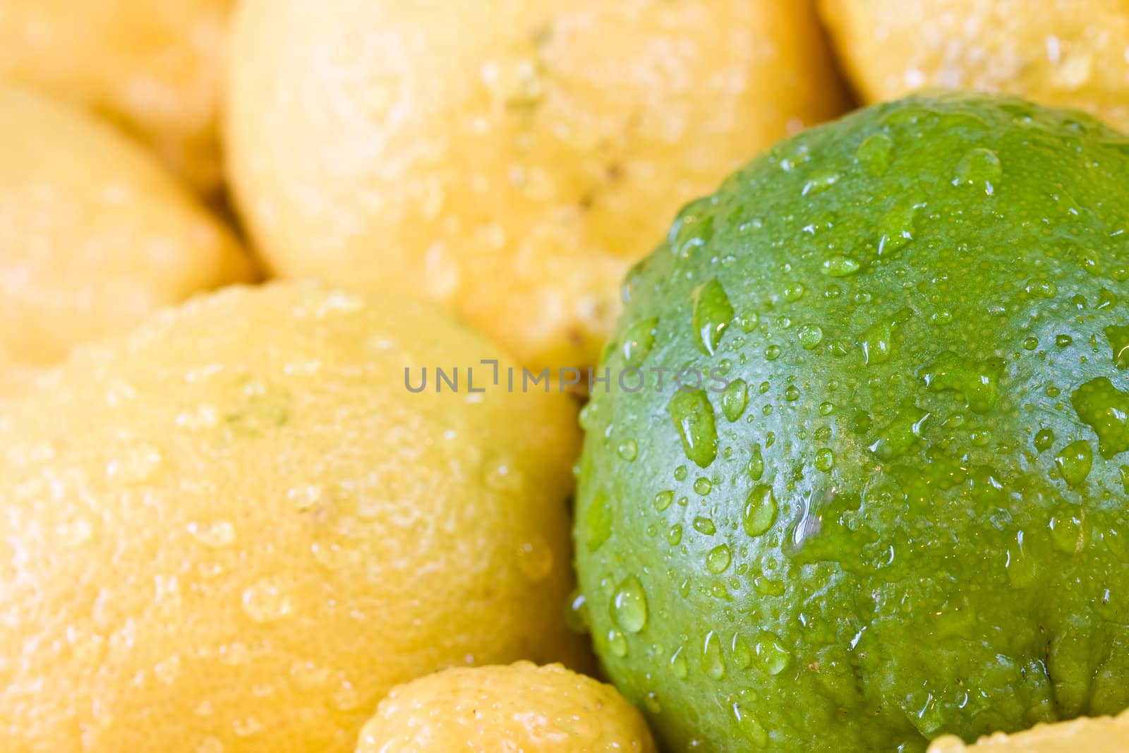 lemon lime orange fruit set close up and water drops in the set