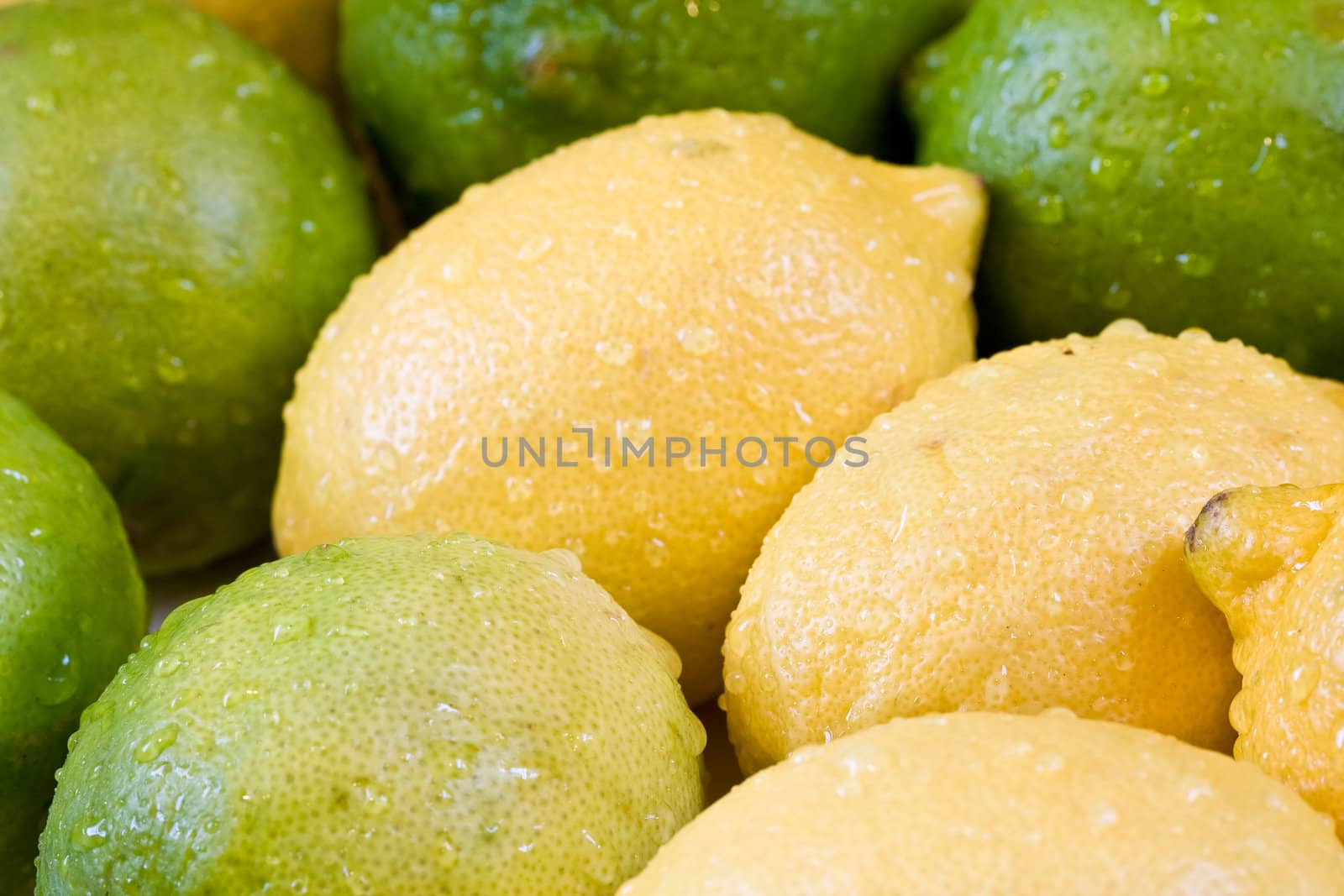 lemon lime orange fruit set close up and water drops in the set