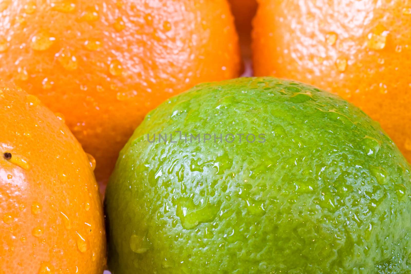 lemon lime orange fruit set close up and water drops in the set