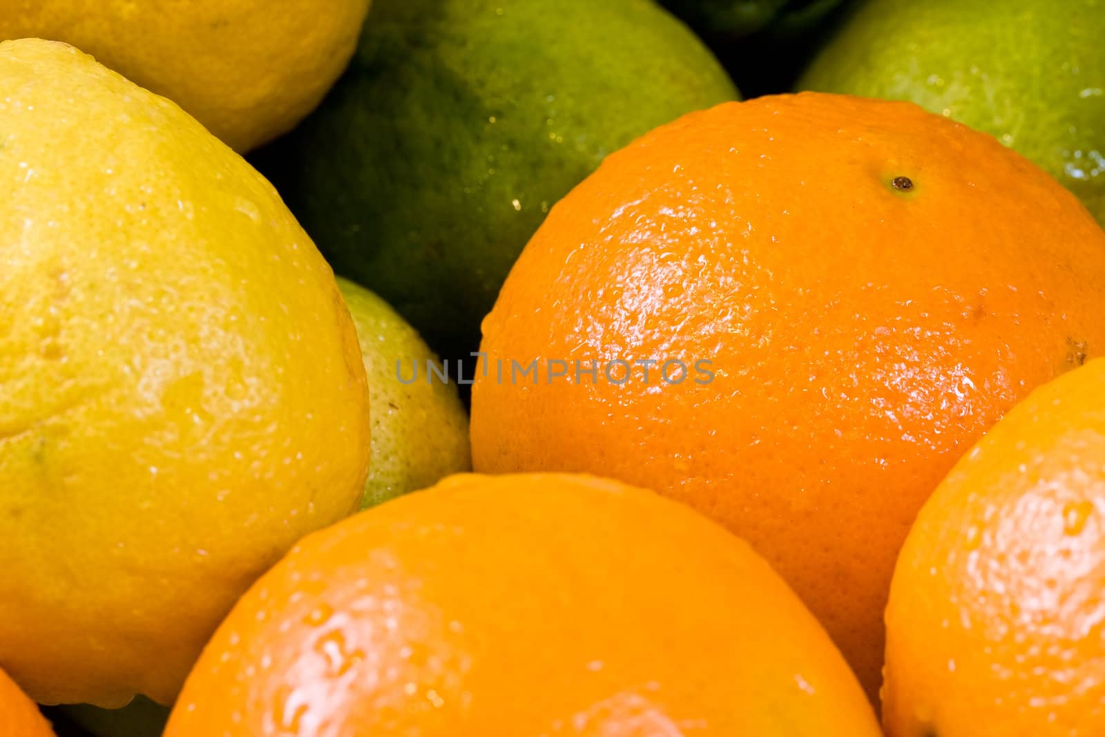 lemon lime orange fruit set close up and water drops in the set