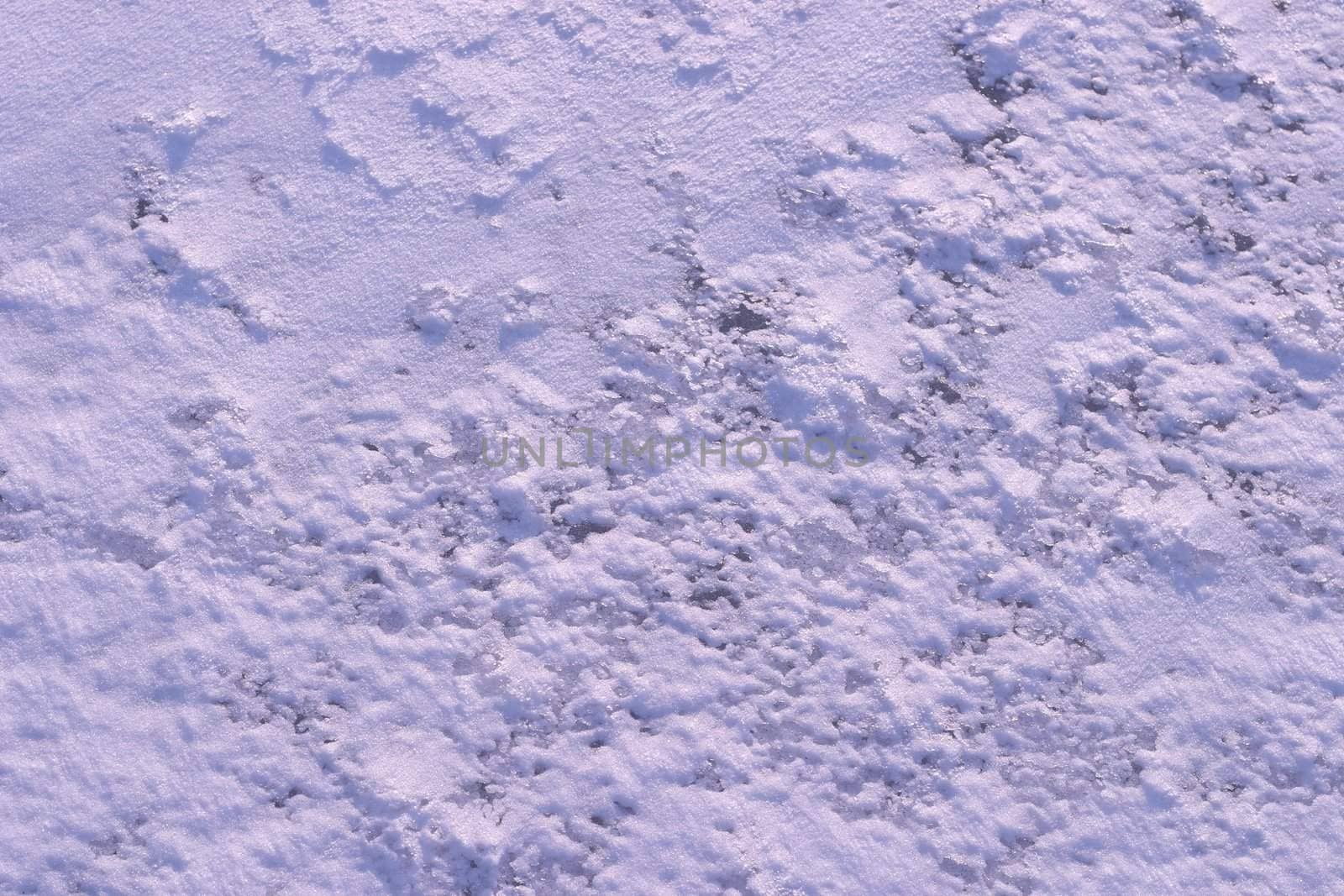 Texture of the snow. Thin snow crust on the surface of the frozen lake