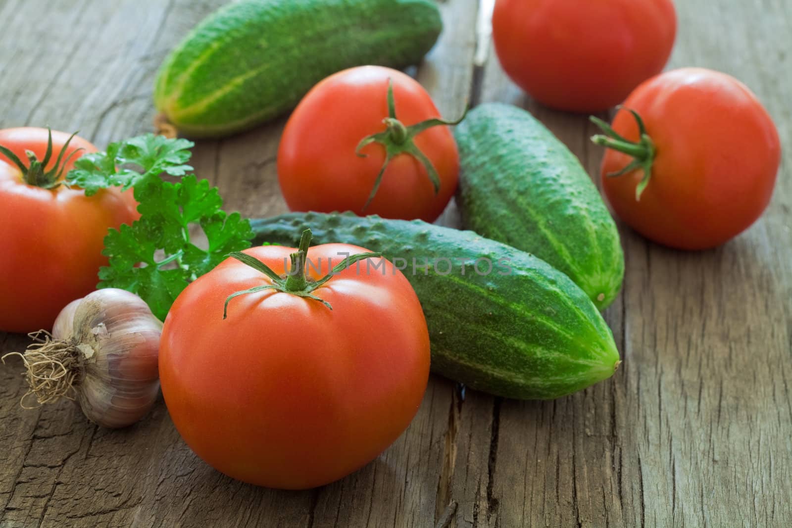 Still life with vegetables: tomatoes, cucumbers, garlic and herbs