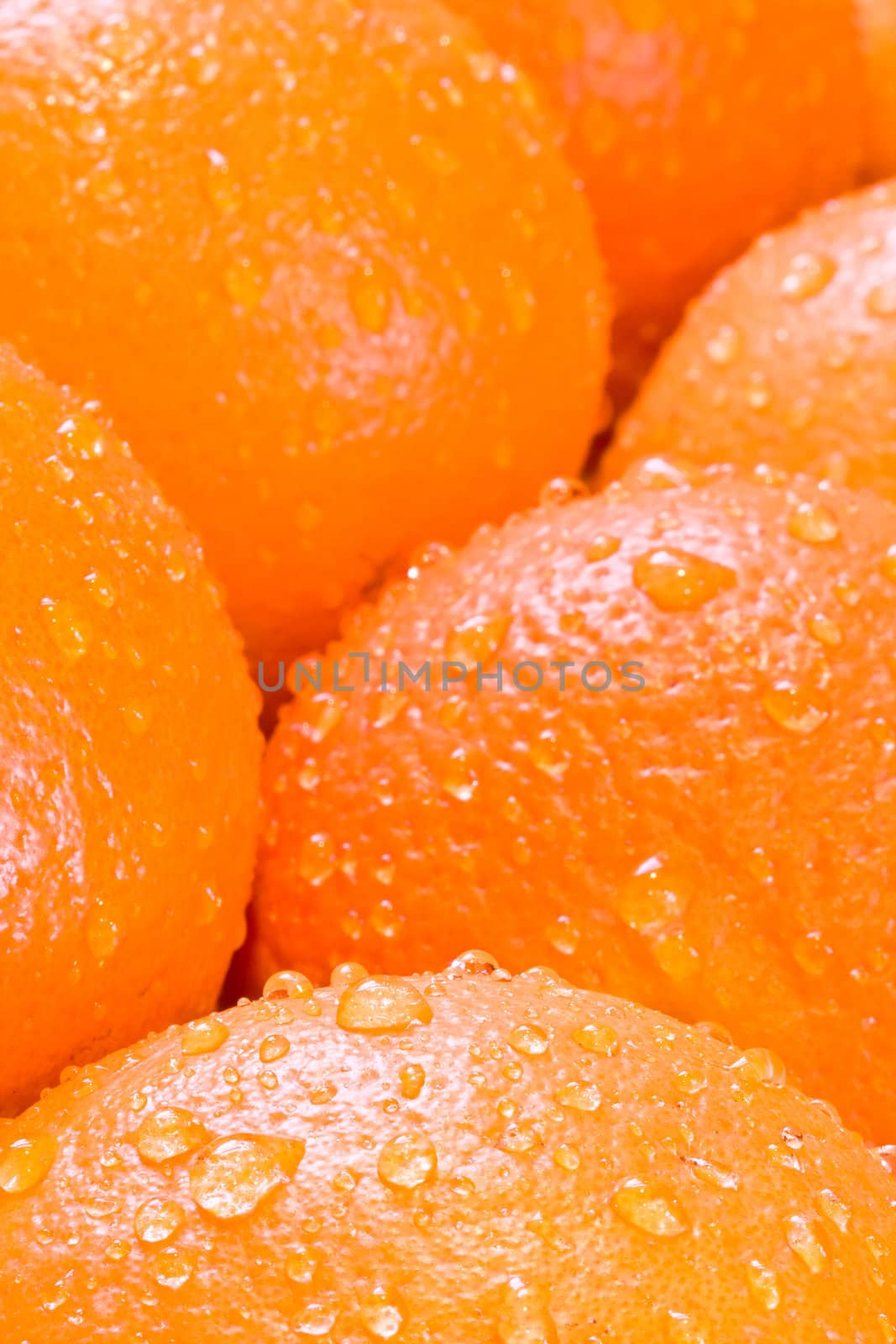 bunch of fresh oranges shot close up