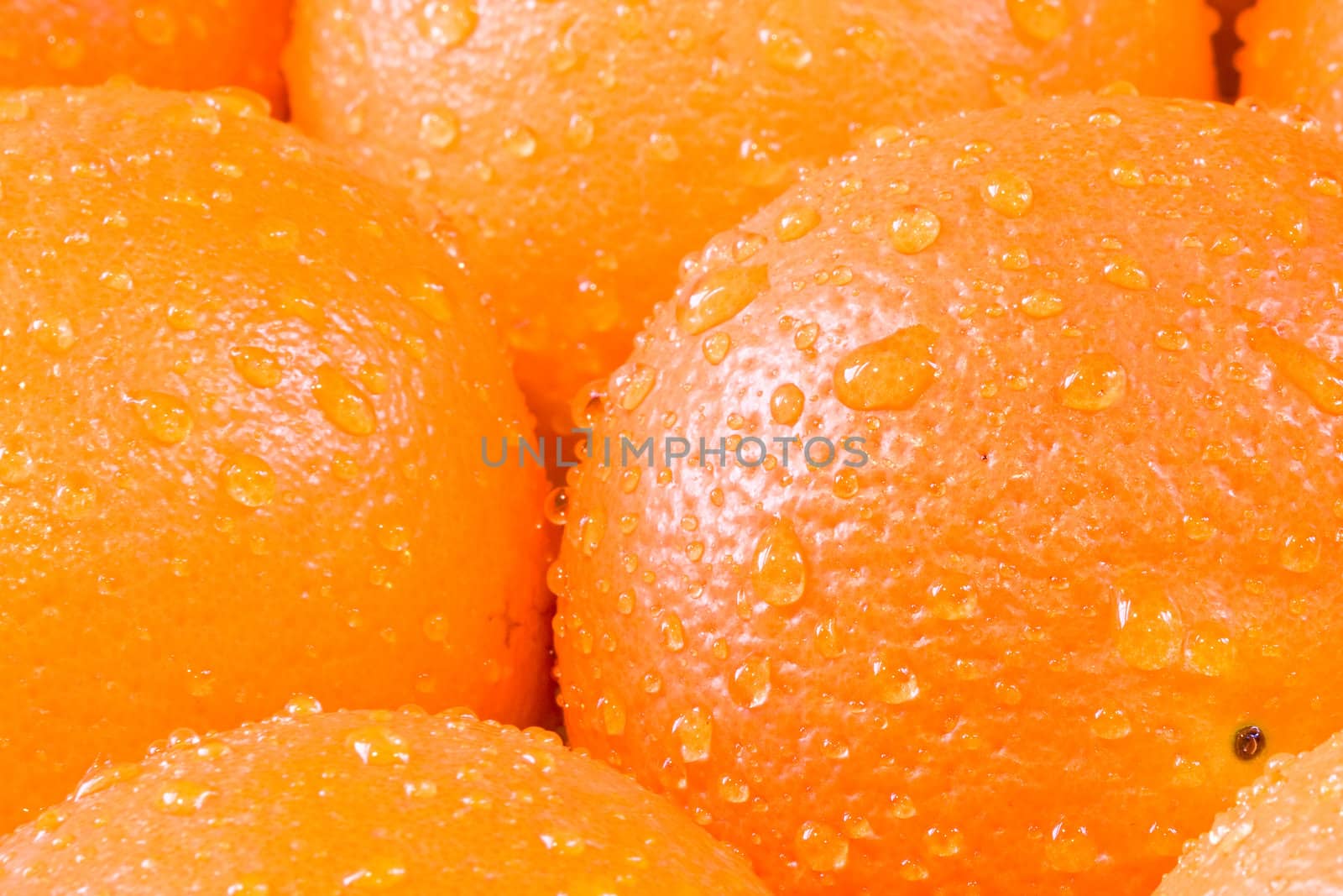 bunch of fresh oranges shot close up