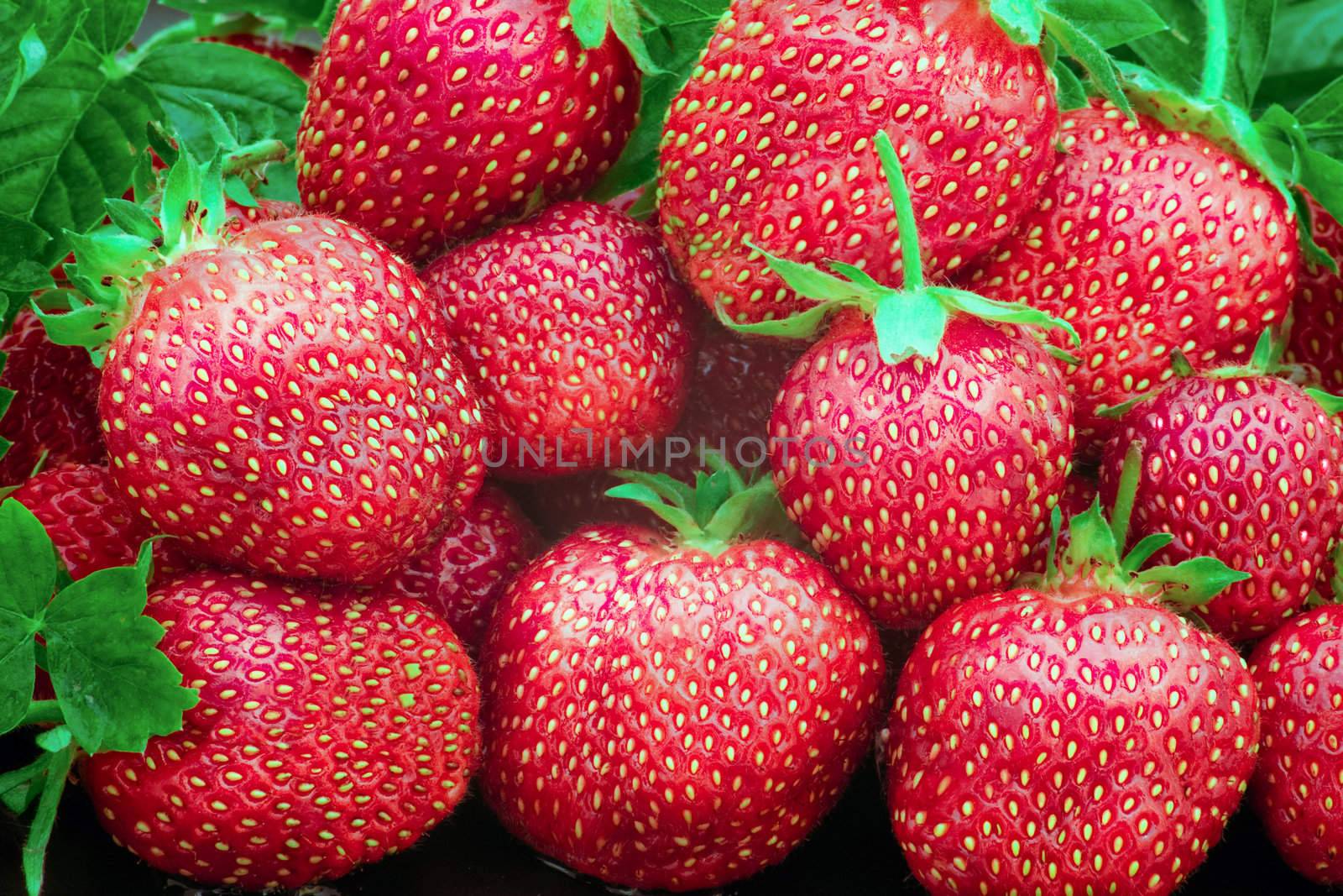Heap of a lot of fresh red strawberries
