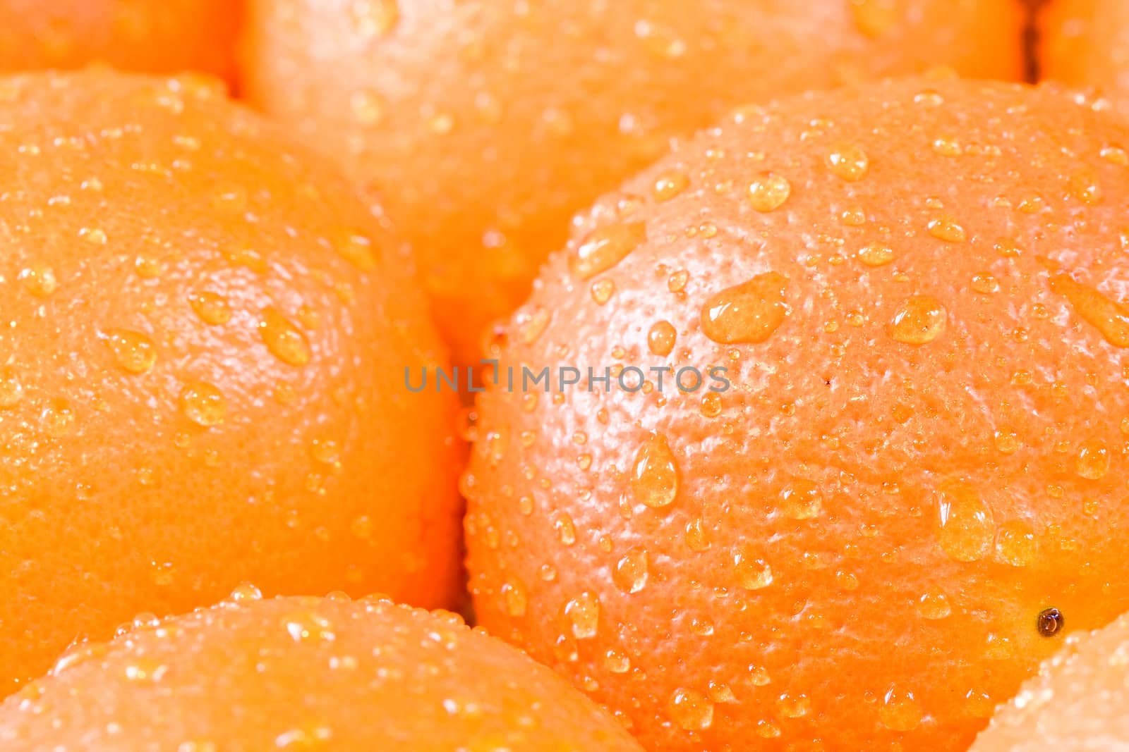 bunch of fresh oranges shot close up shallow depth of field