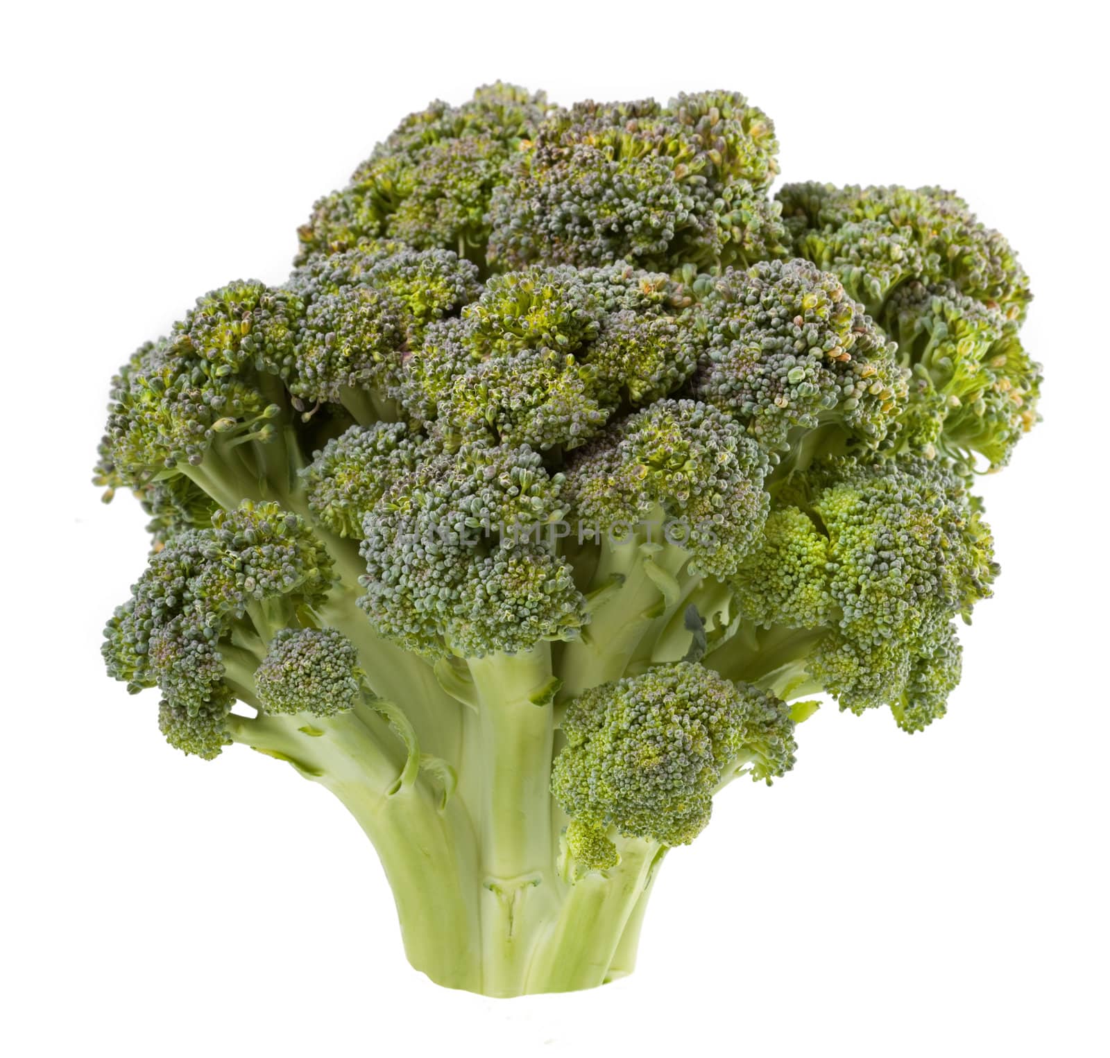 Broccoli is isolated on a white background